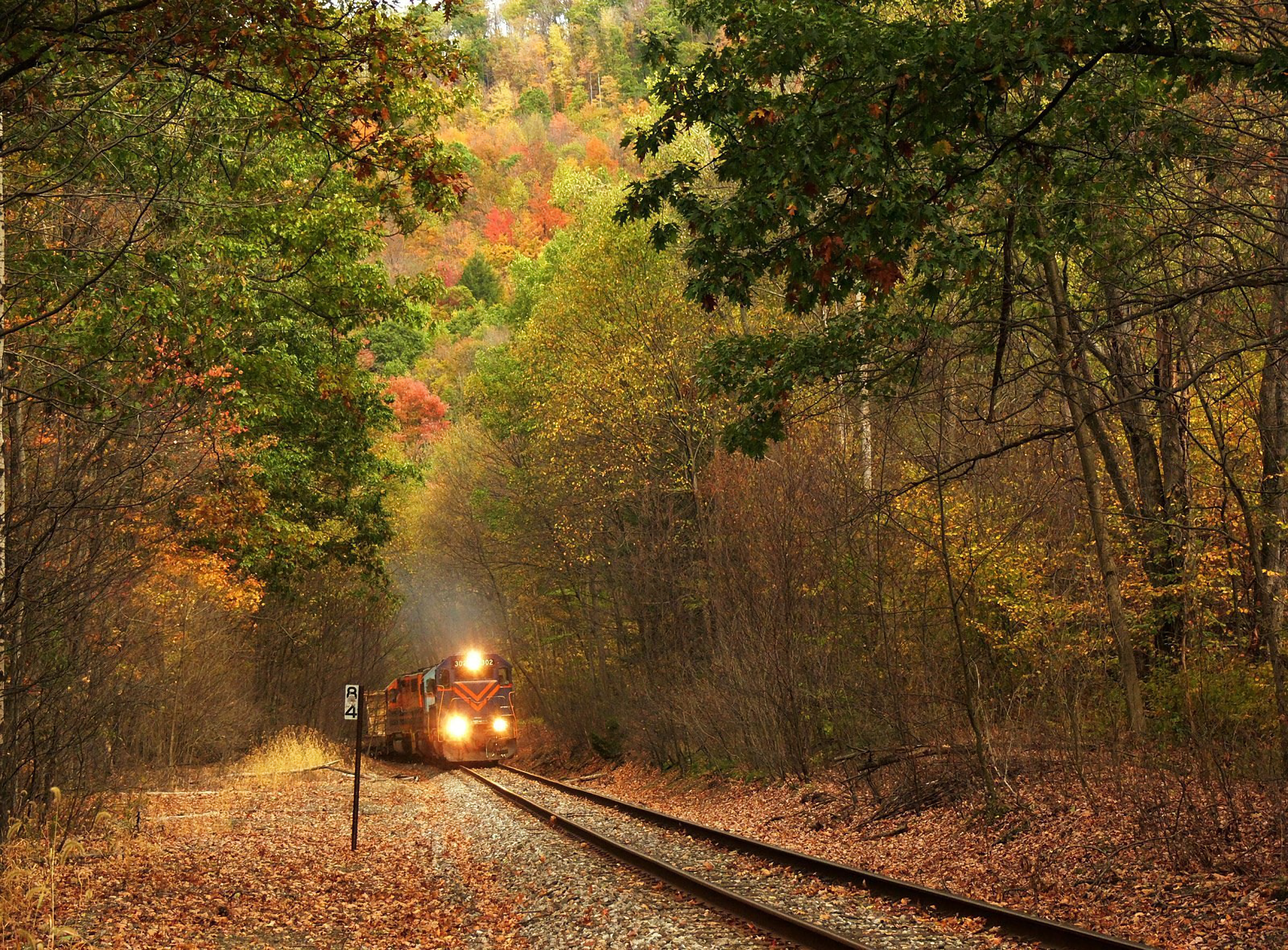 Train through Autumn Forest HD Wallpaper
