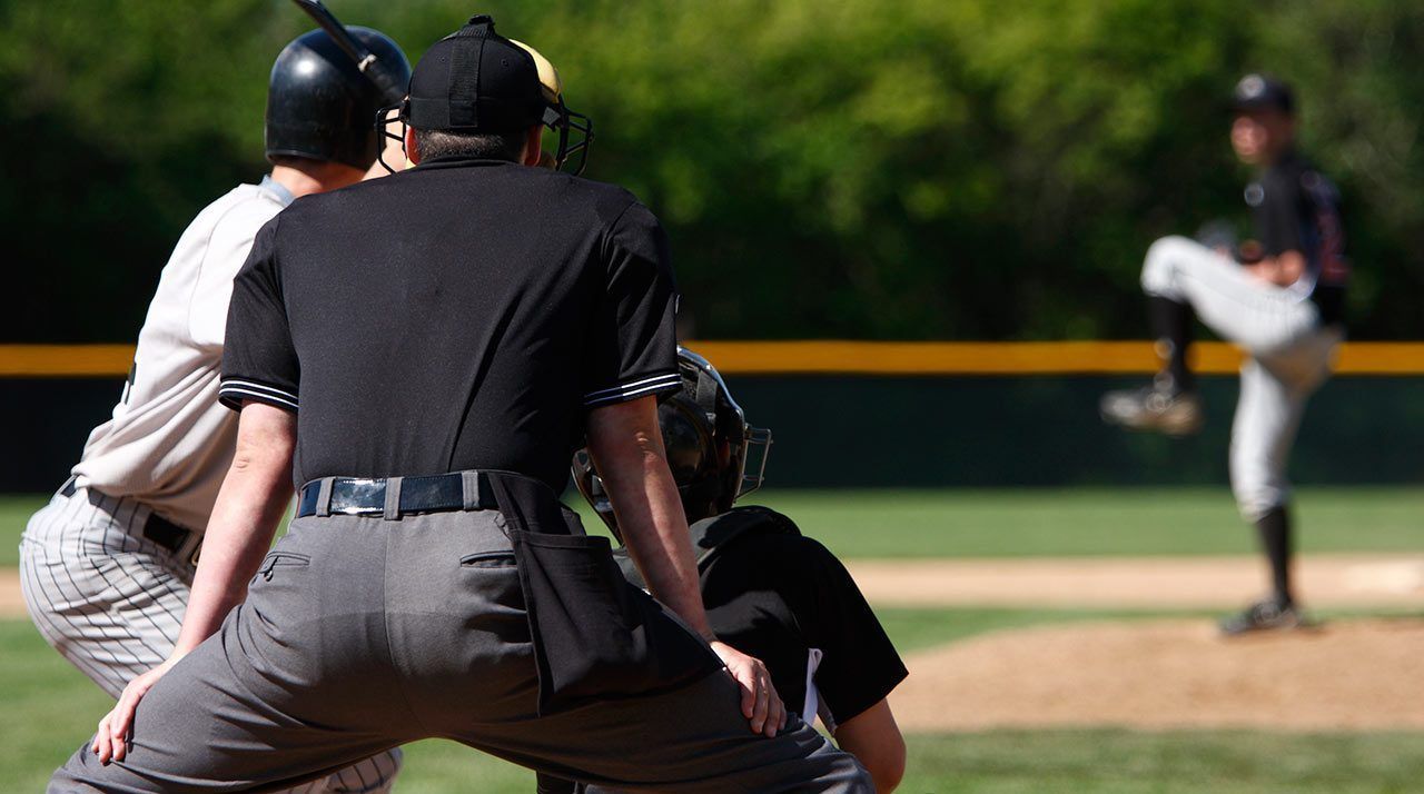 Don't Let This Happen: Failing to Background Check Umpires