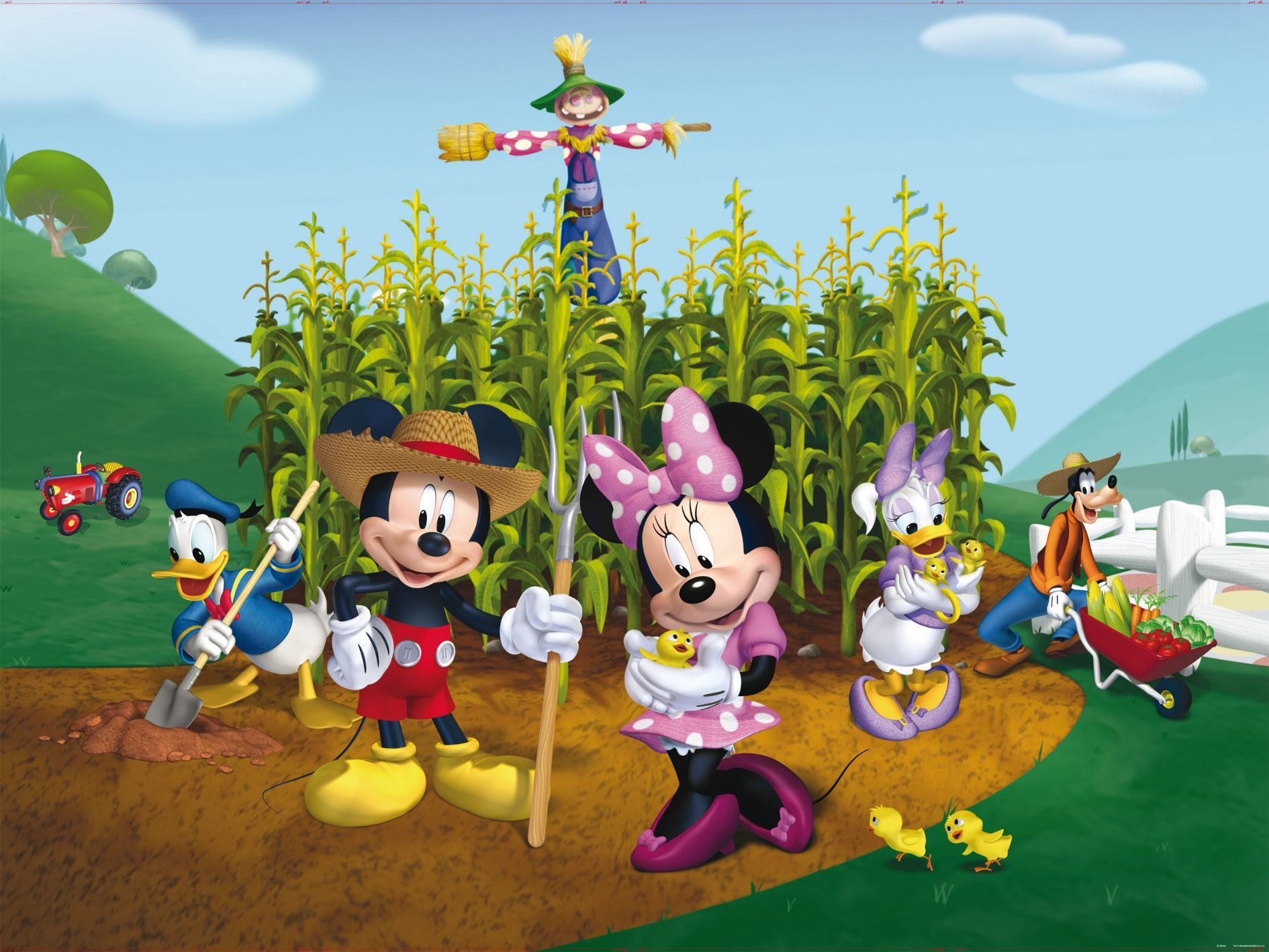 Disney Kids bedroom Wallpaper Mickey Mouse Farm photo wall mural Giant size 8595577950299