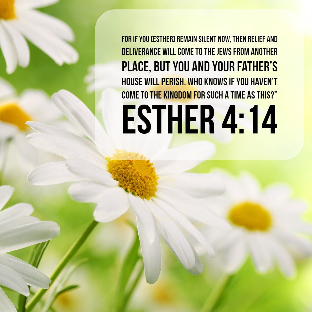 Esther 4:14 Wallpapers - Wallpaper Cave