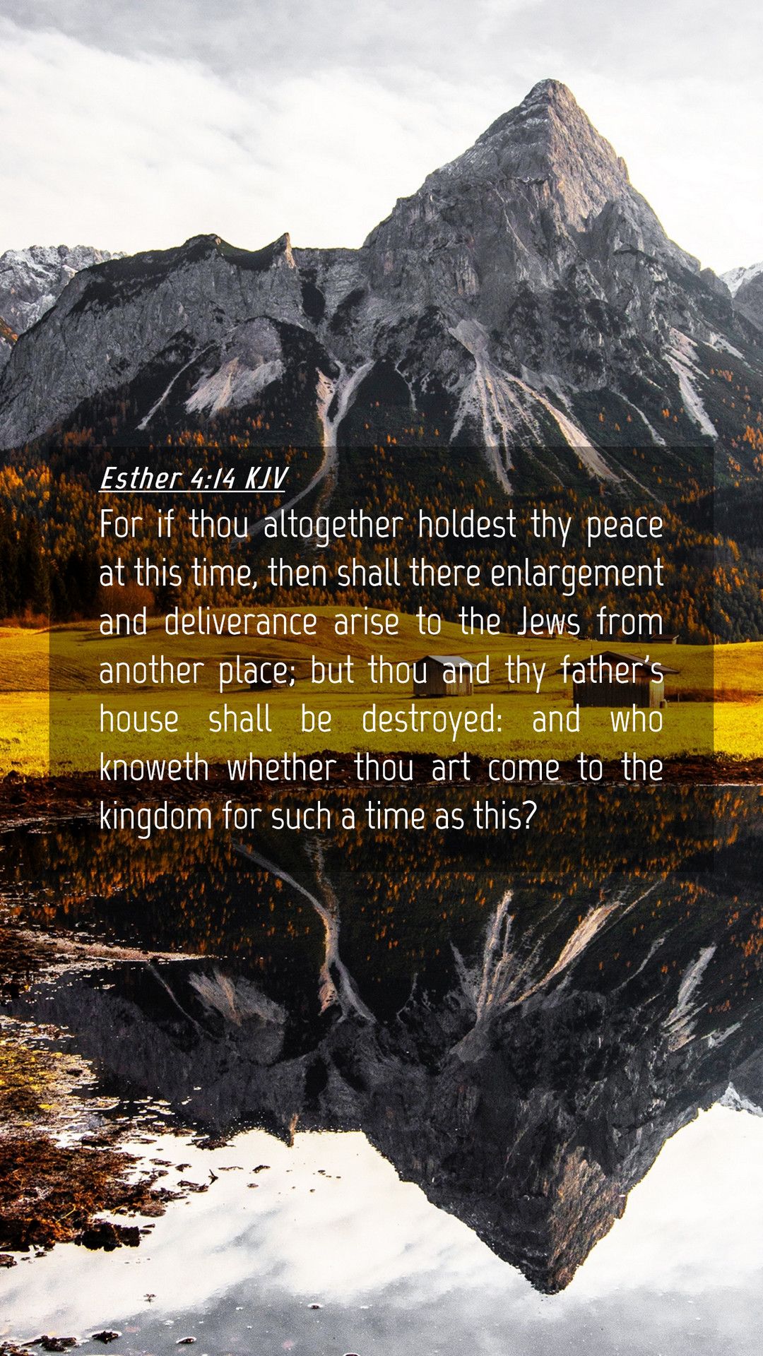 Esther 4:14 KJV Mobile Phone Wallpaper if thou altogether holdest thy peace