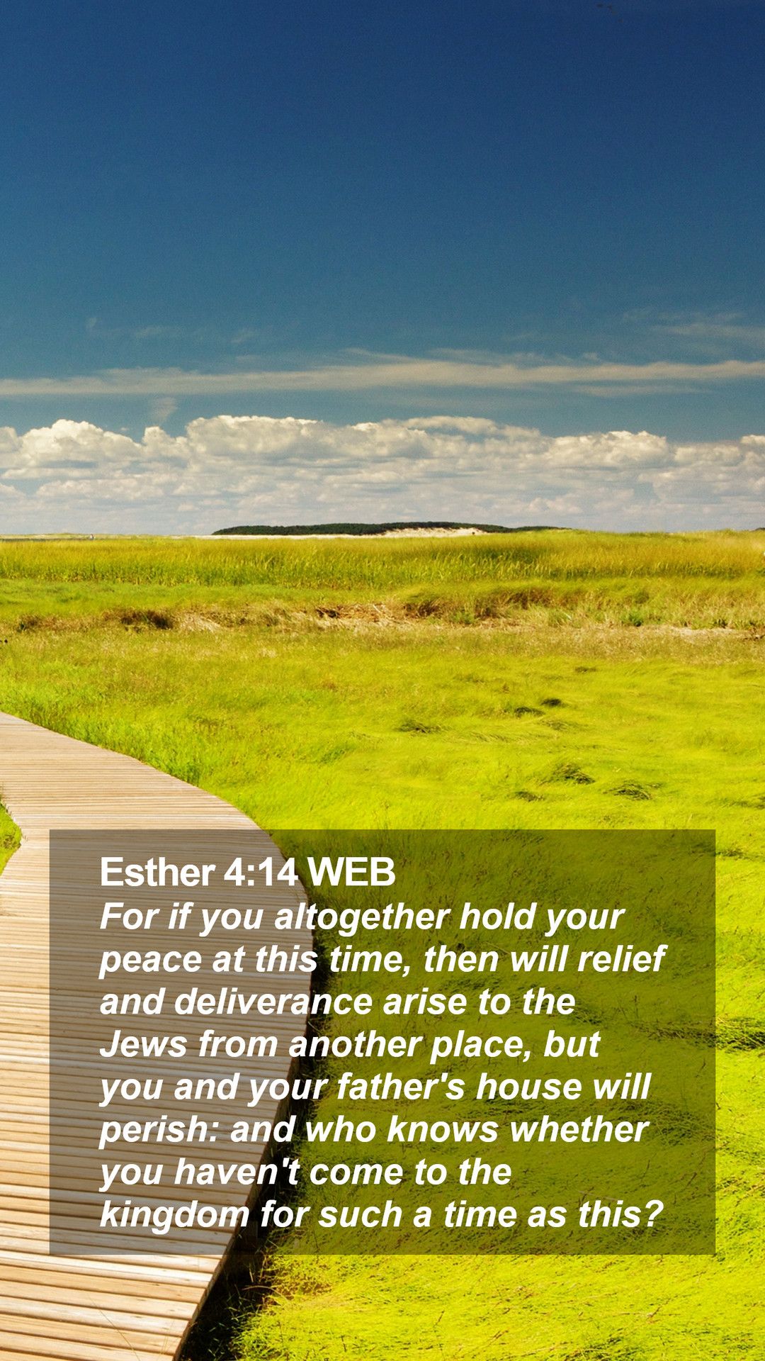 Esther 4:14 WEB Mobile Phone Wallpaper if you altogether hold your peace