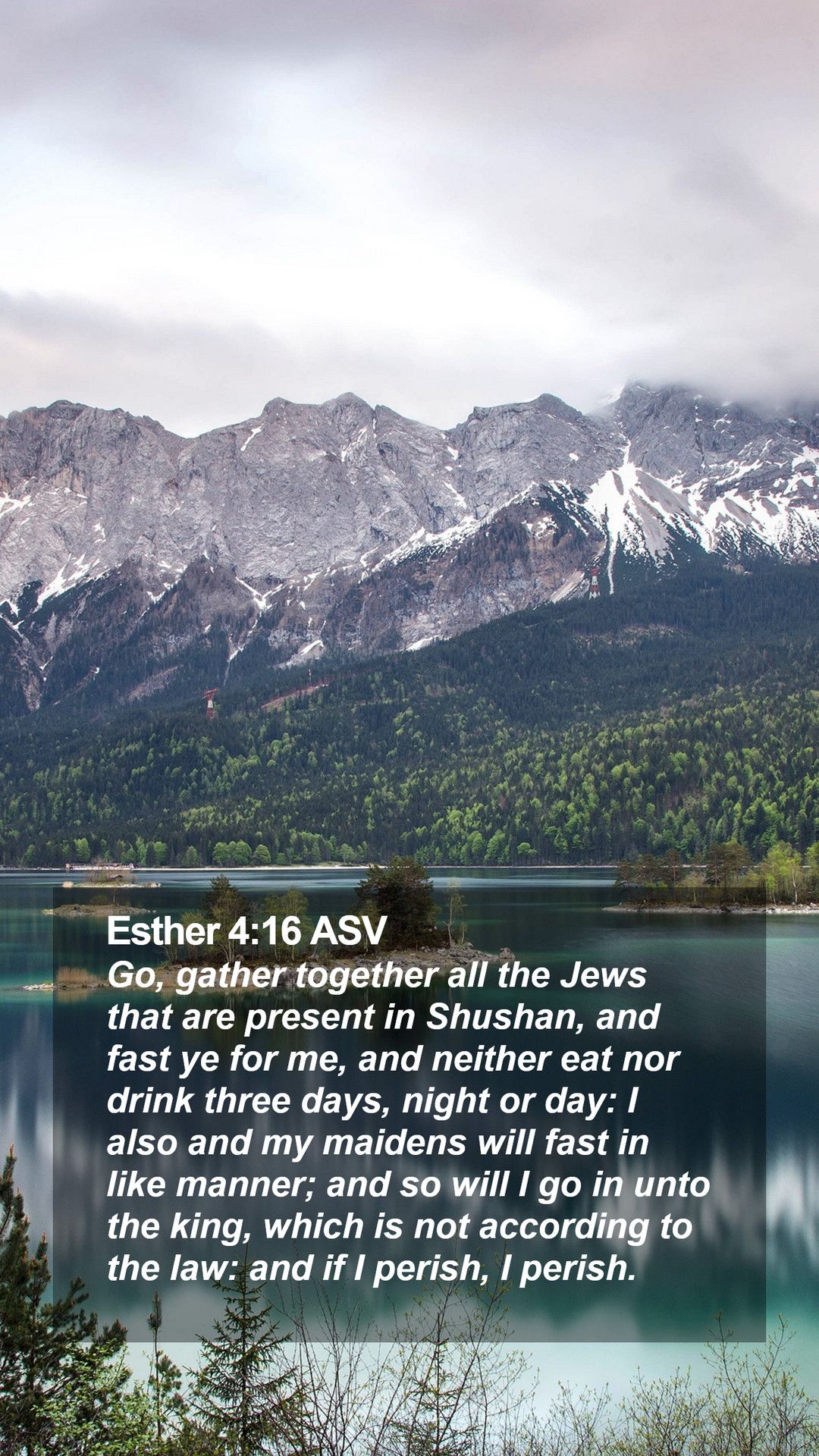 Esther 4:16 ASV Mobile Phone Wallpaper, gather together all the Jews that are present