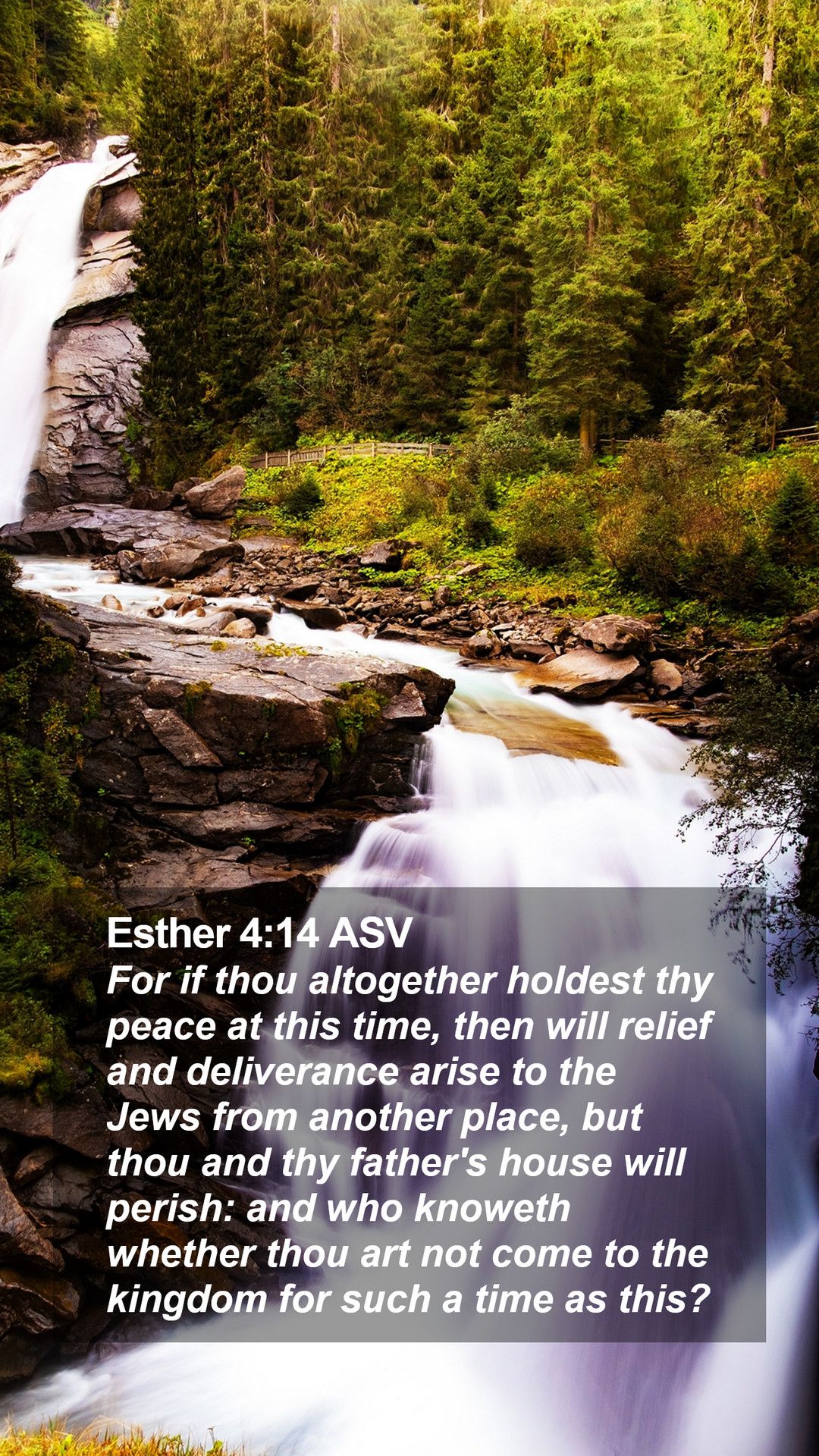 Esther 4:14 ASV Mobile Phone Wallpaper if thou altogether holdest thy peace