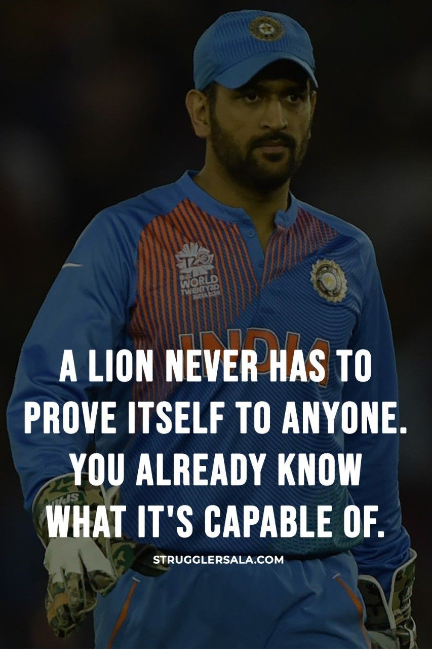 I lion never has to prove.. Dhoni quotes, Cricket quotes, Real men quotes