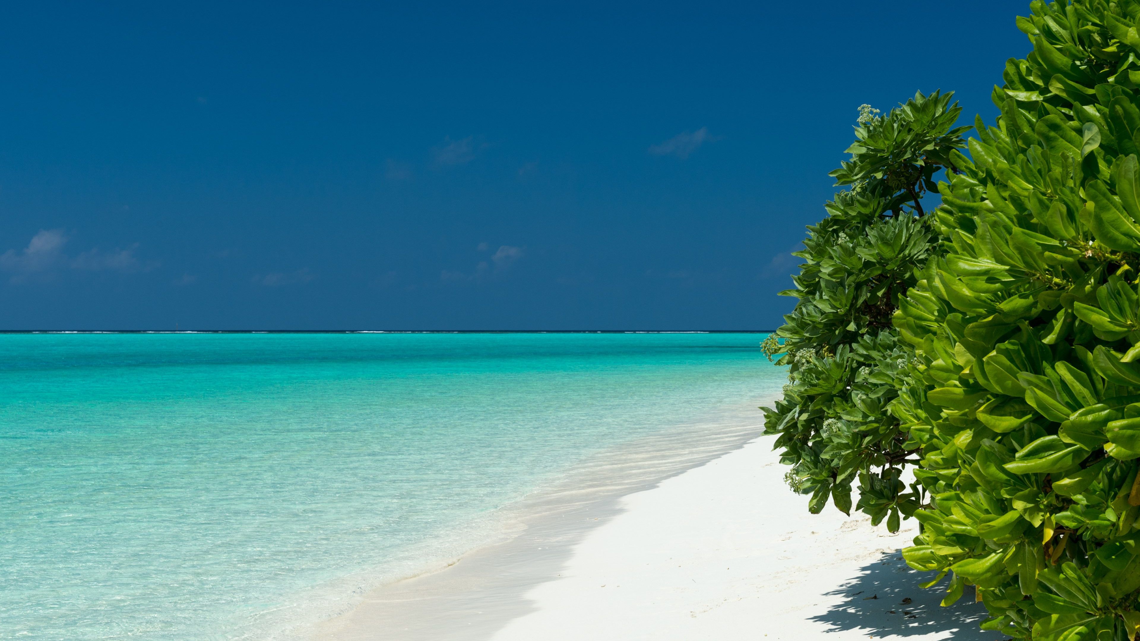 Download wallpaper: Turquoise waters of Maldives 3840x2160