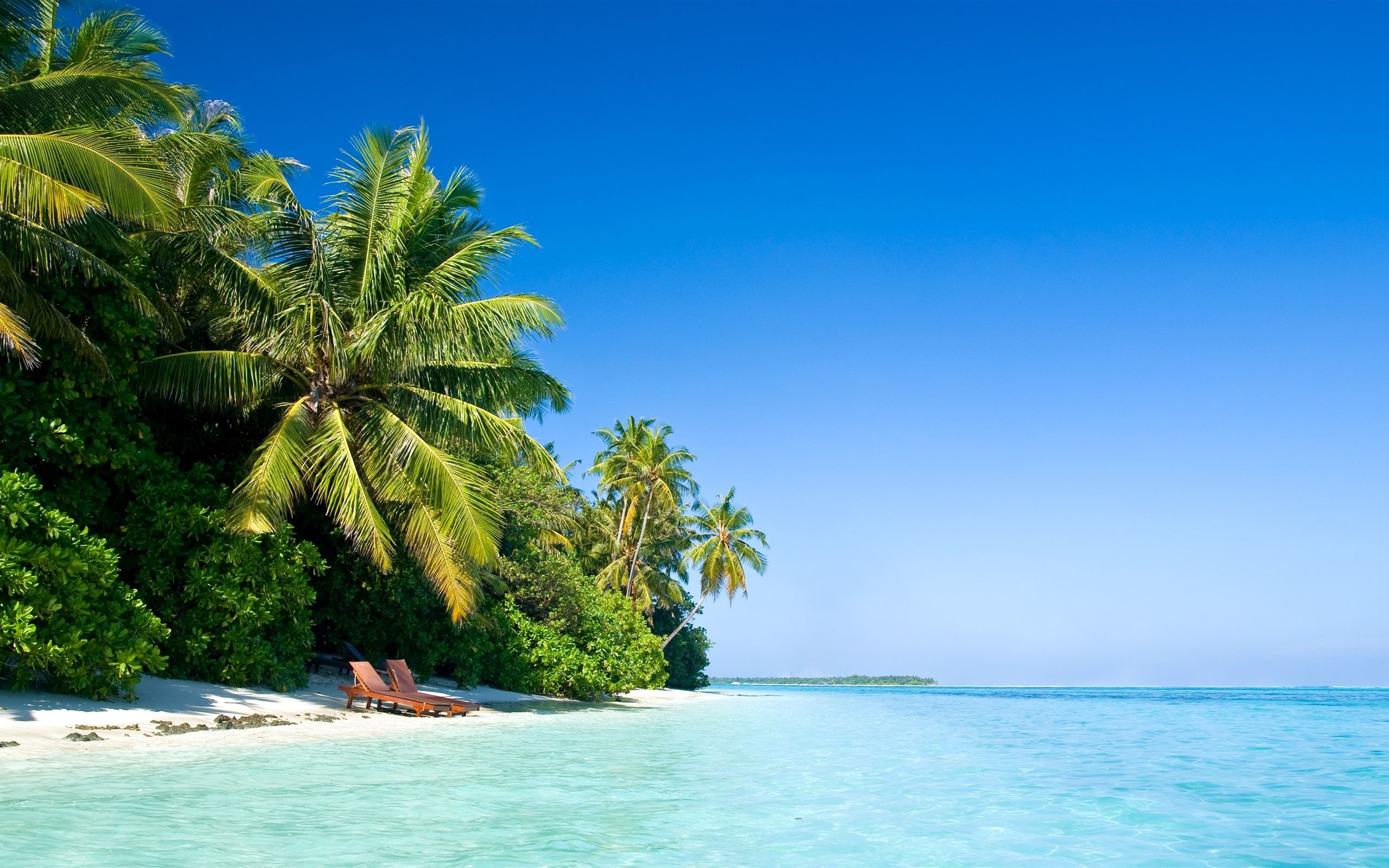Wallpaper Maldive, palm trees, beach, chair, sea, tropical 3840x2160 UHD 4K Picture, Image