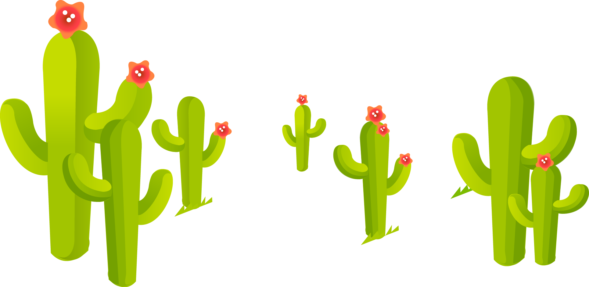 Drawing Cactus Wallpaper Transparent Background Cactus Cartoon
