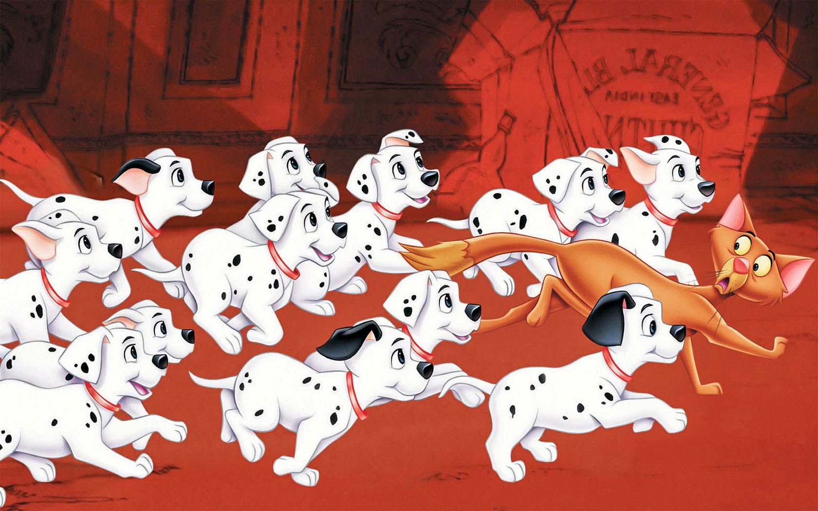 Dalmatians High Resolution Wallpaper HD Wallpaper