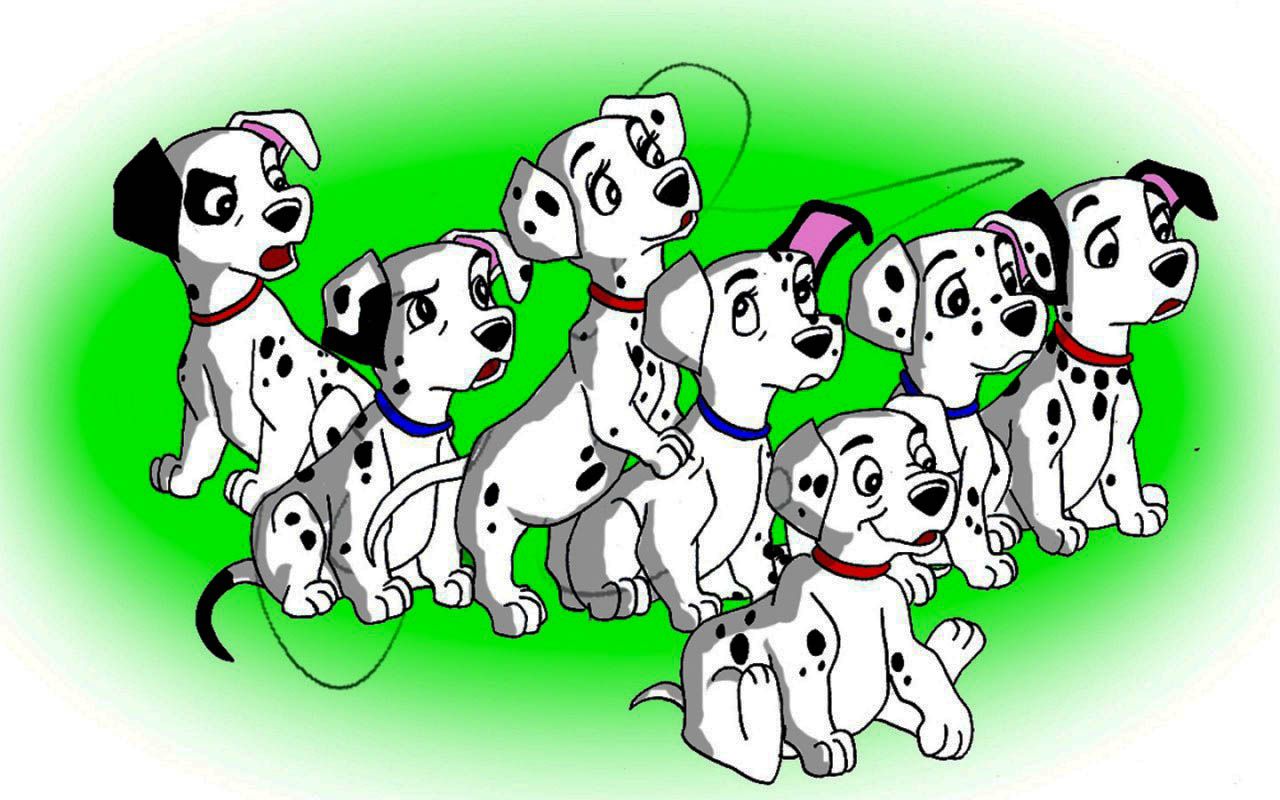 Dalmatians High Resolution Wallpaper HD Wallpaper