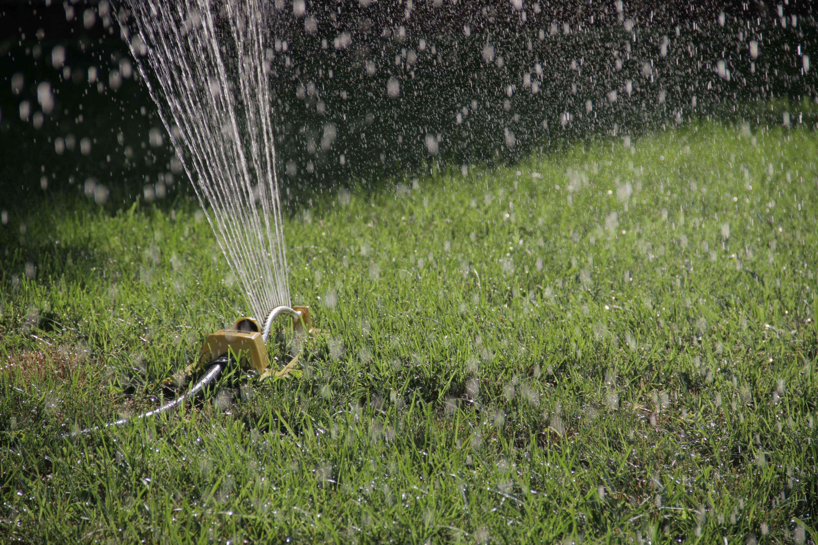 grass, lawn, spring, sprinkler, watering wallpaper