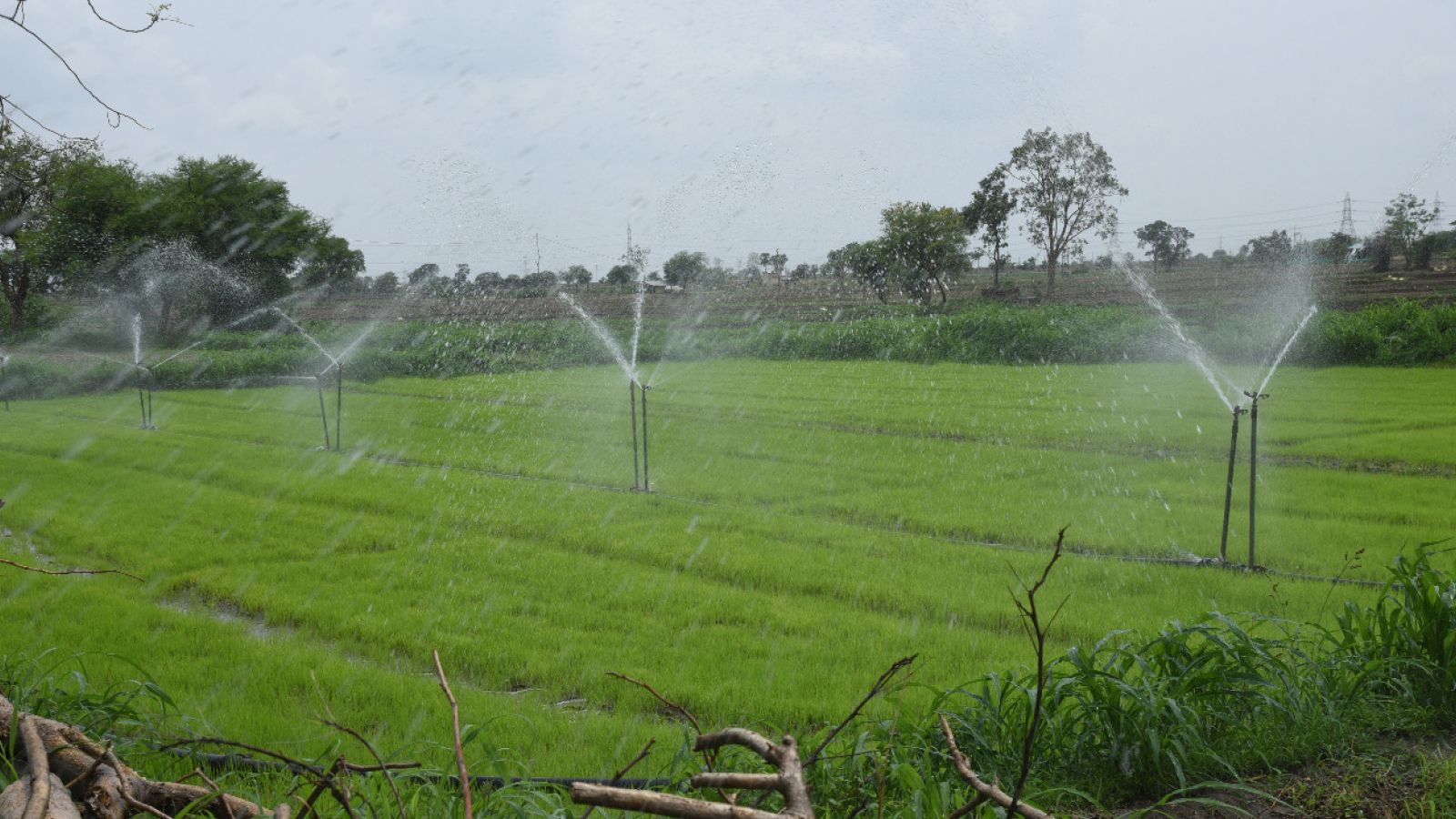 Irrigation Indian Agriculture HD
