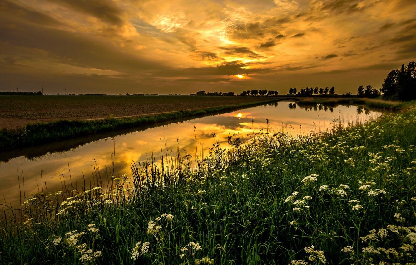 Wallpaper field, landscape, sunset, nature, beauty, irrigation canal image for desktop, section пейзажи