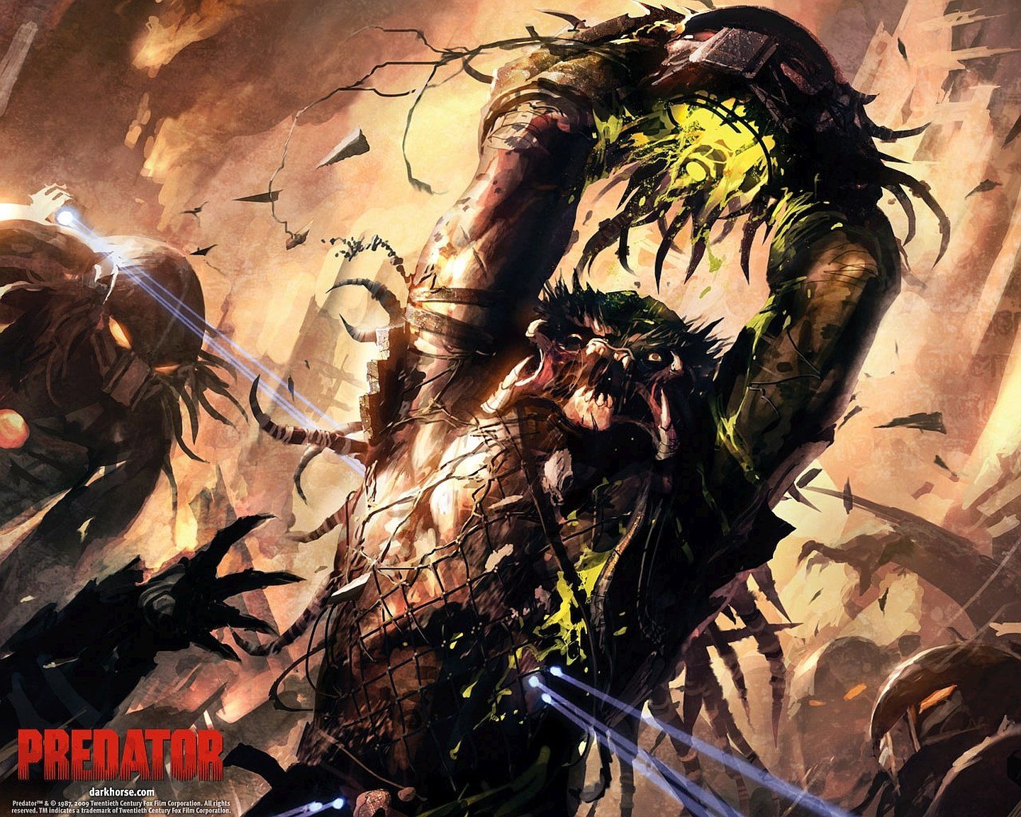 Predator Wallpaper and Background Imagex1152