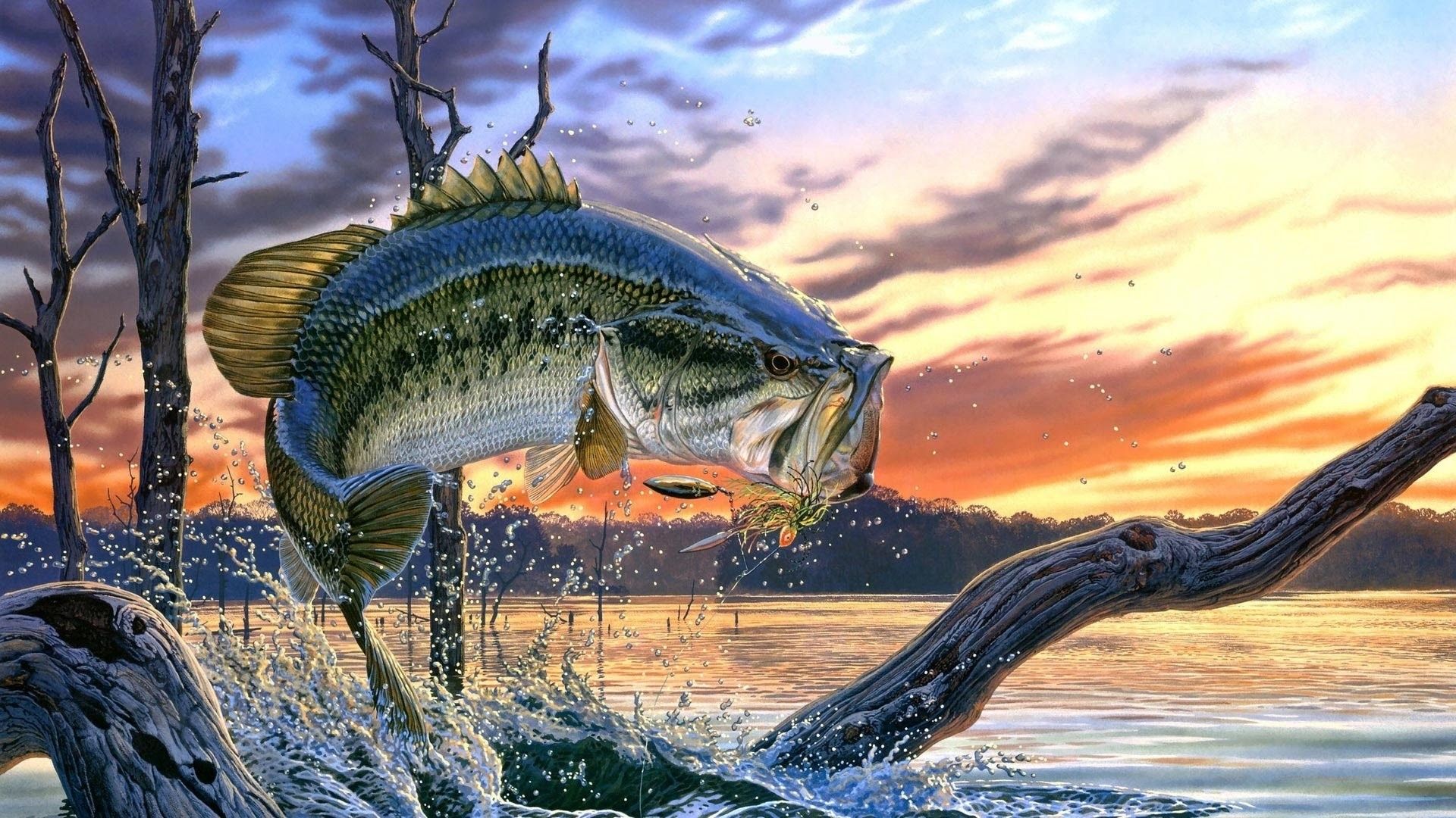 Largemouth Bass Wallpaper for Desktop