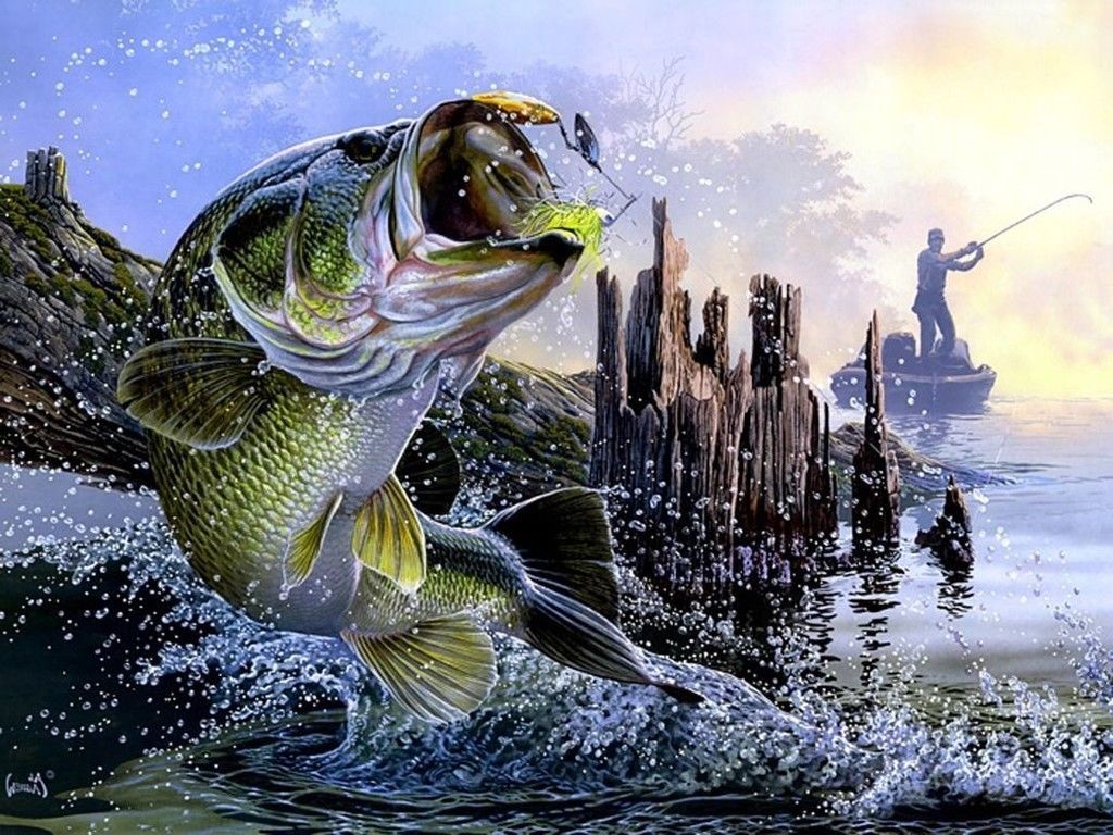 Bass Fishing Painting HD Wallpaper
