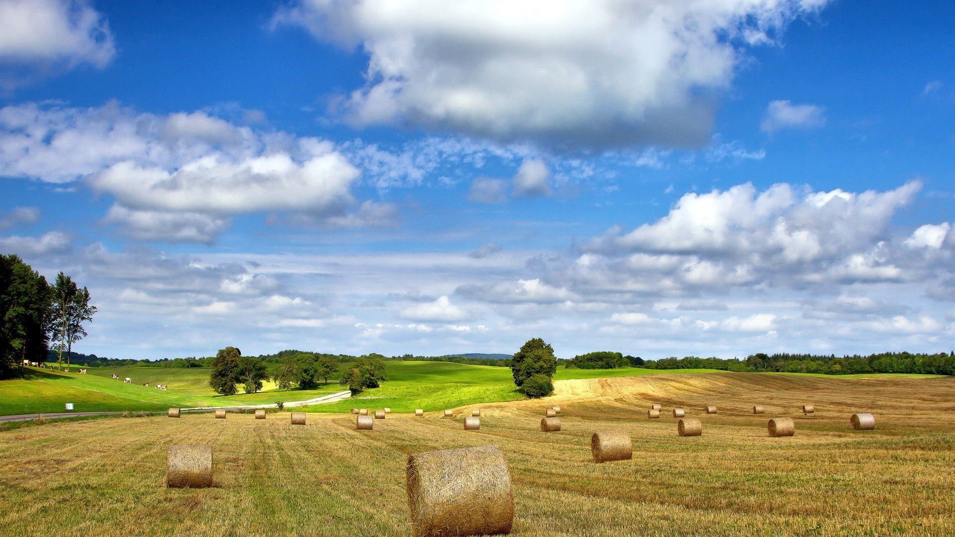 landscapes, nature, summer, hay, farm, sky wallpaper