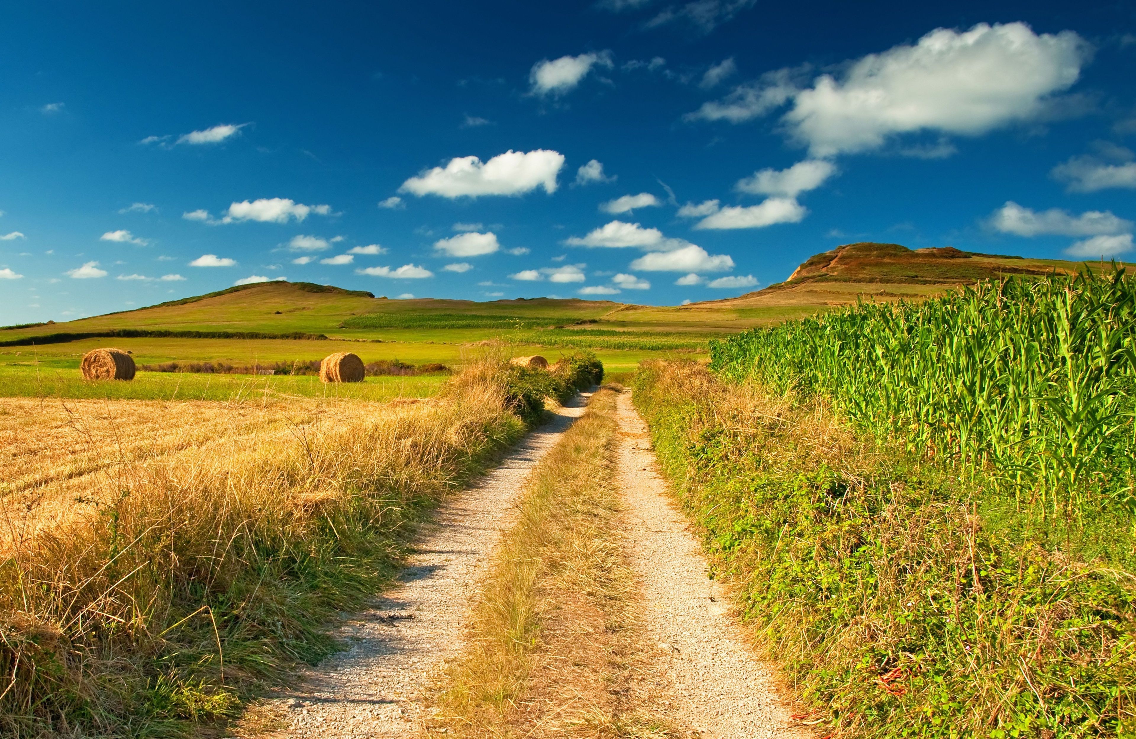 Farm Summer Wallpapers - Wallpaper Cave