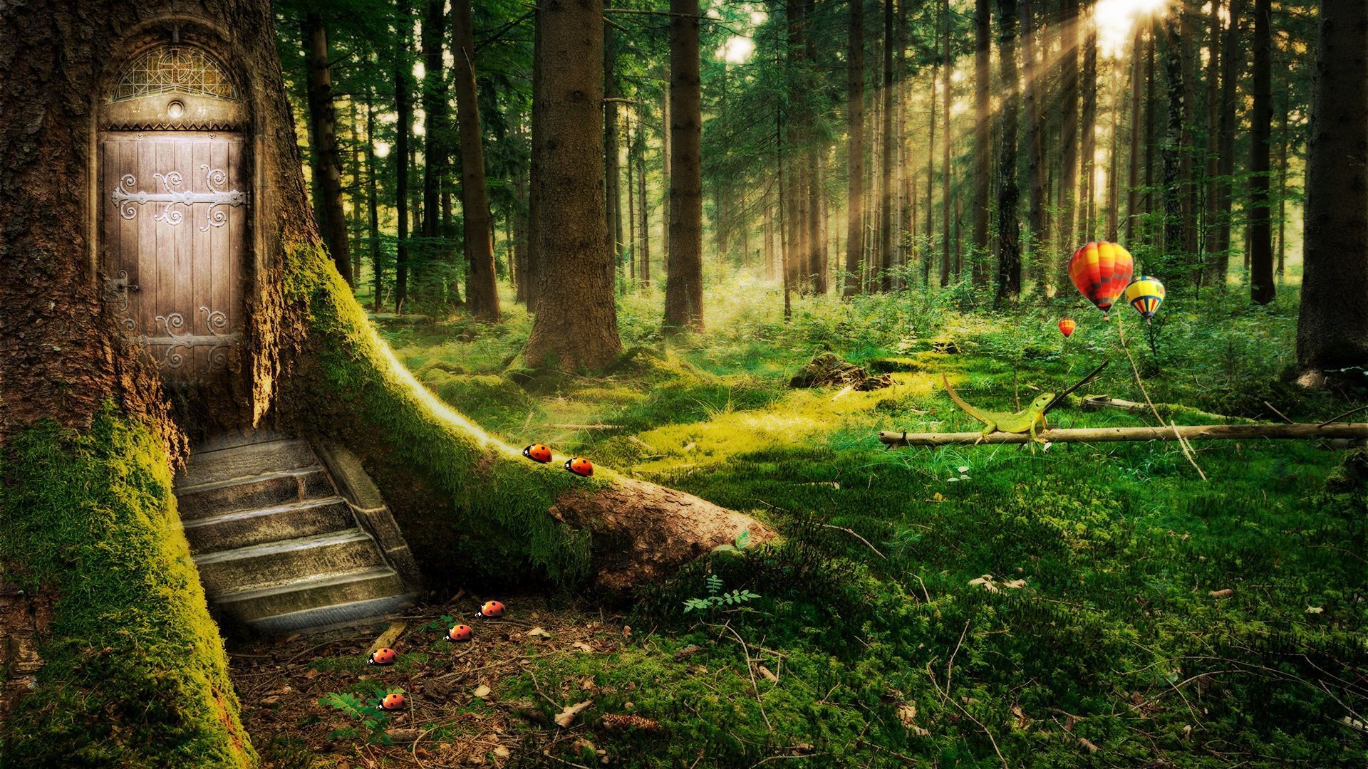Mystical Forest Wallpaper Free Mystical Forest Background