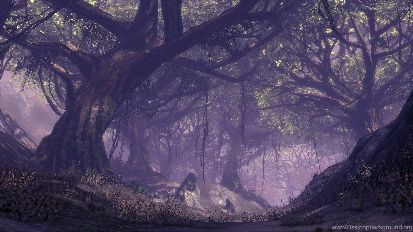 mystical forest background