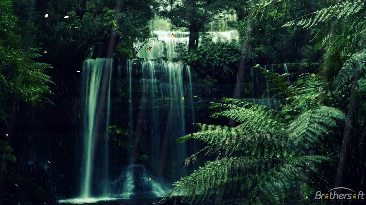 Free download Mystical Forest Background Mystic forest animated [1212x681] for your Desktop, Mobile & Tablet. Explore Mystical Wallpaper. Free Mystical Wallpaper Downloads, Mystical Wallpaper for Deskx Wizard Image