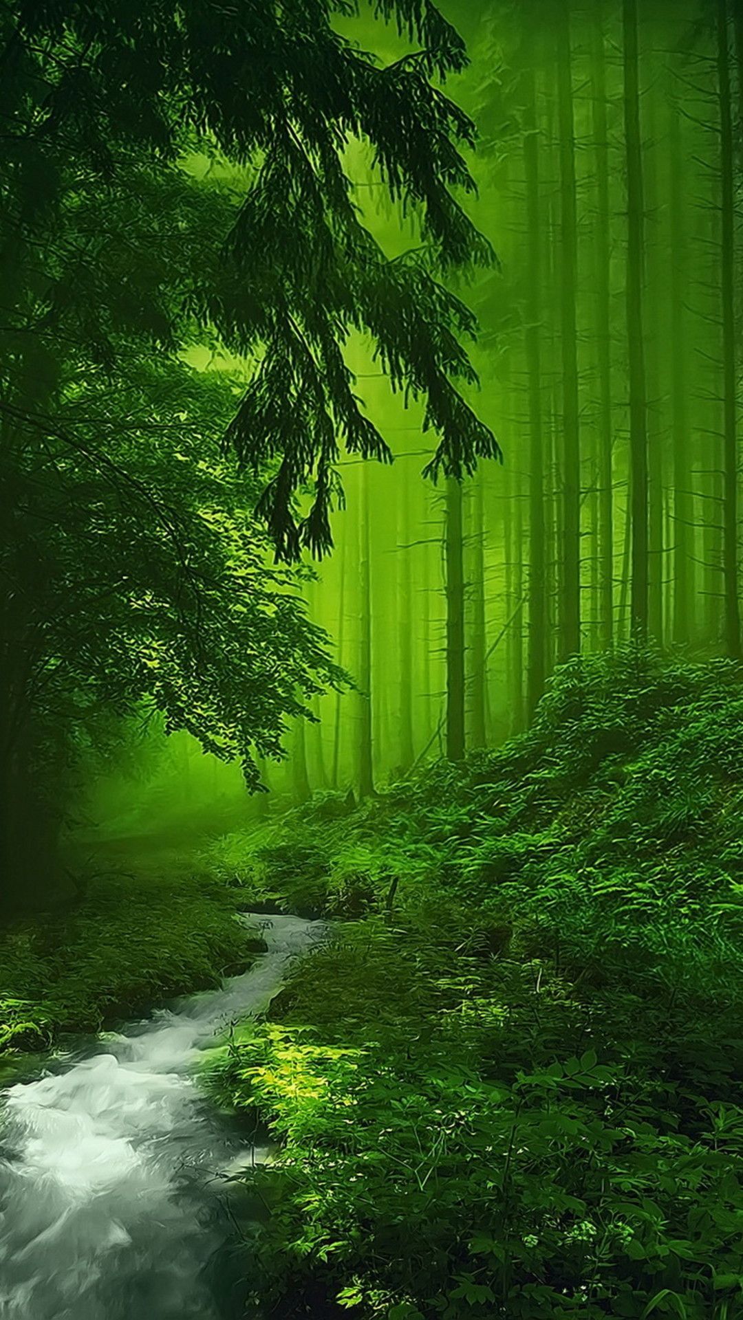 Free download Mystical Forest beatiful land scapes Mystical forest Nature [1080x1920] for your Desktop, Mobile & Tablet. Explore Green Nature Wallpaper. Green Nature Wallpaper, Green Nature Wallpaper, Green Wallpaper Designs Nature