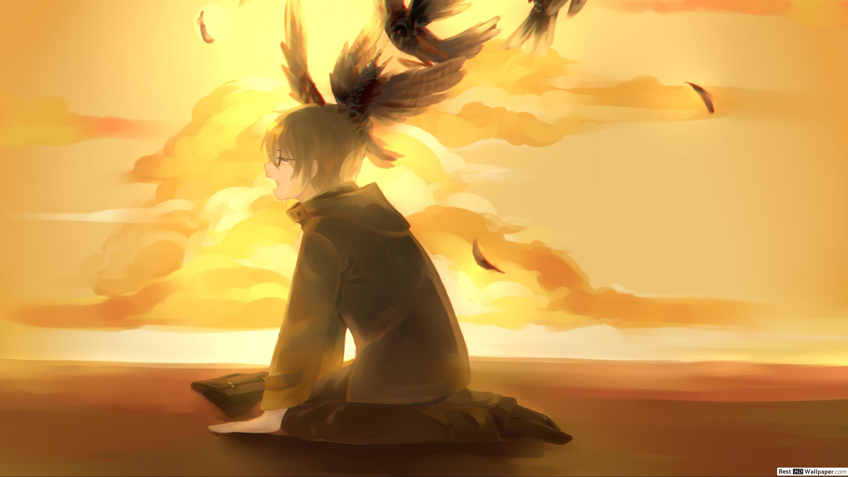 March Comes in Like A Lion HD wallpaper download