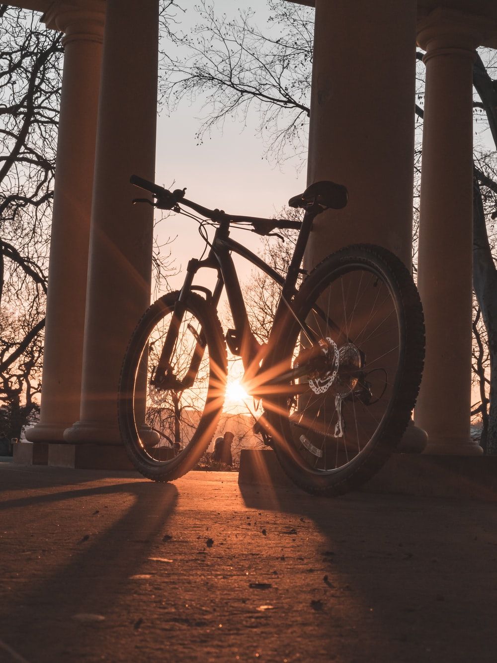 Best Bicycle Picture [HD]. Download Free Image