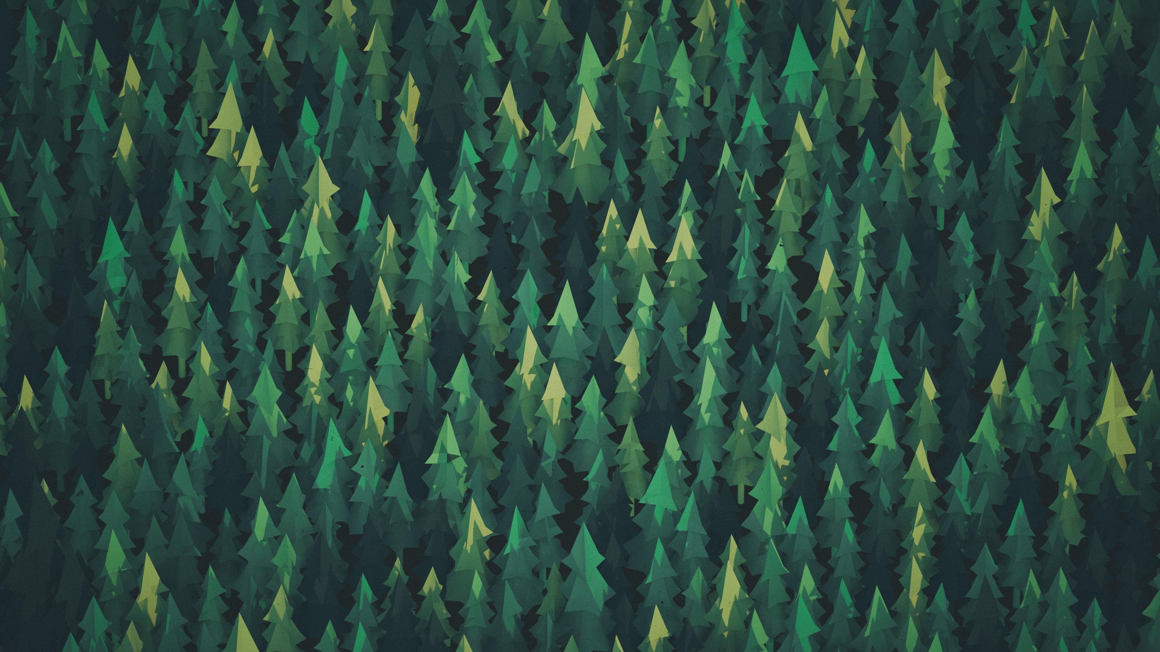 HD wallpaper: forest, Green, nature, summer Wallpaper Market