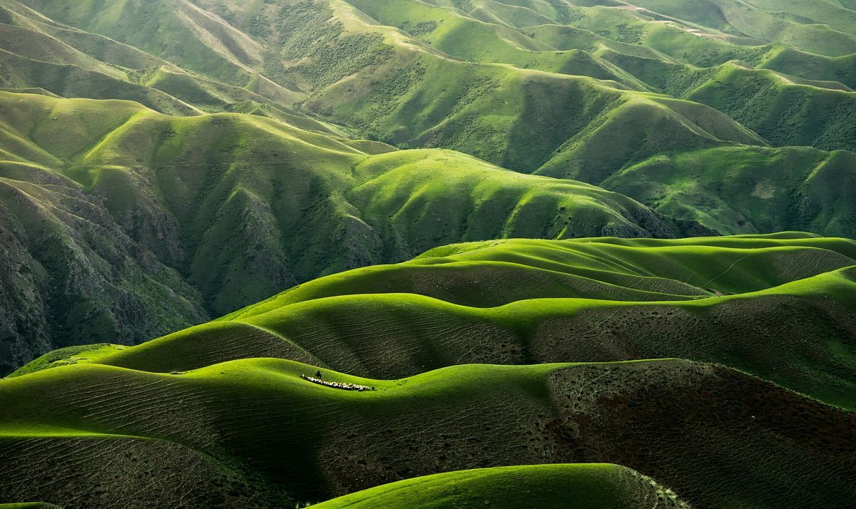 Bird's Eye View Photograph Of Green Mountains Image