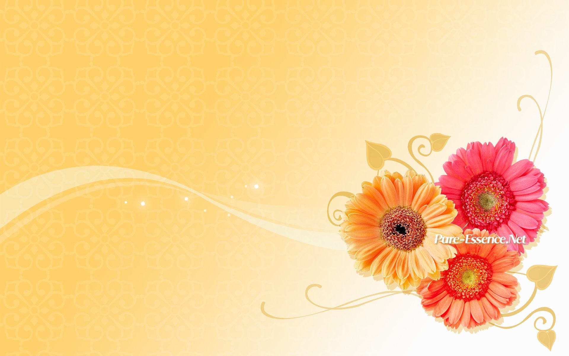 Vector Wallpaper Free