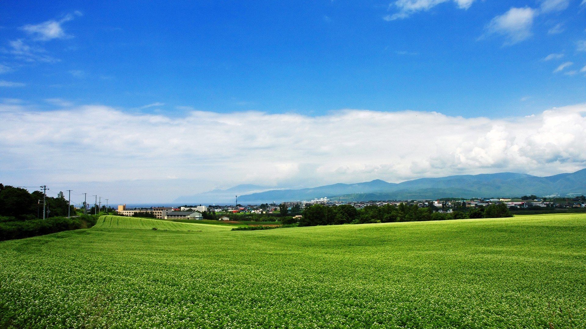 Japan Hokkaido Country Field, Open Field Under Sky1920*1080第38 Desktop Wallpaper