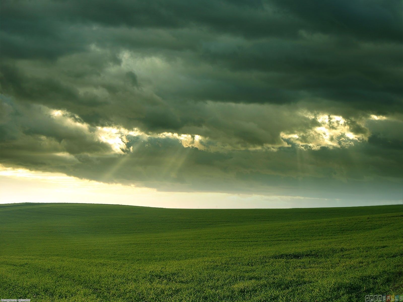 Green field cloudy day wallpaper. Field wallpaper, Rainy day wallpaper, Clouds