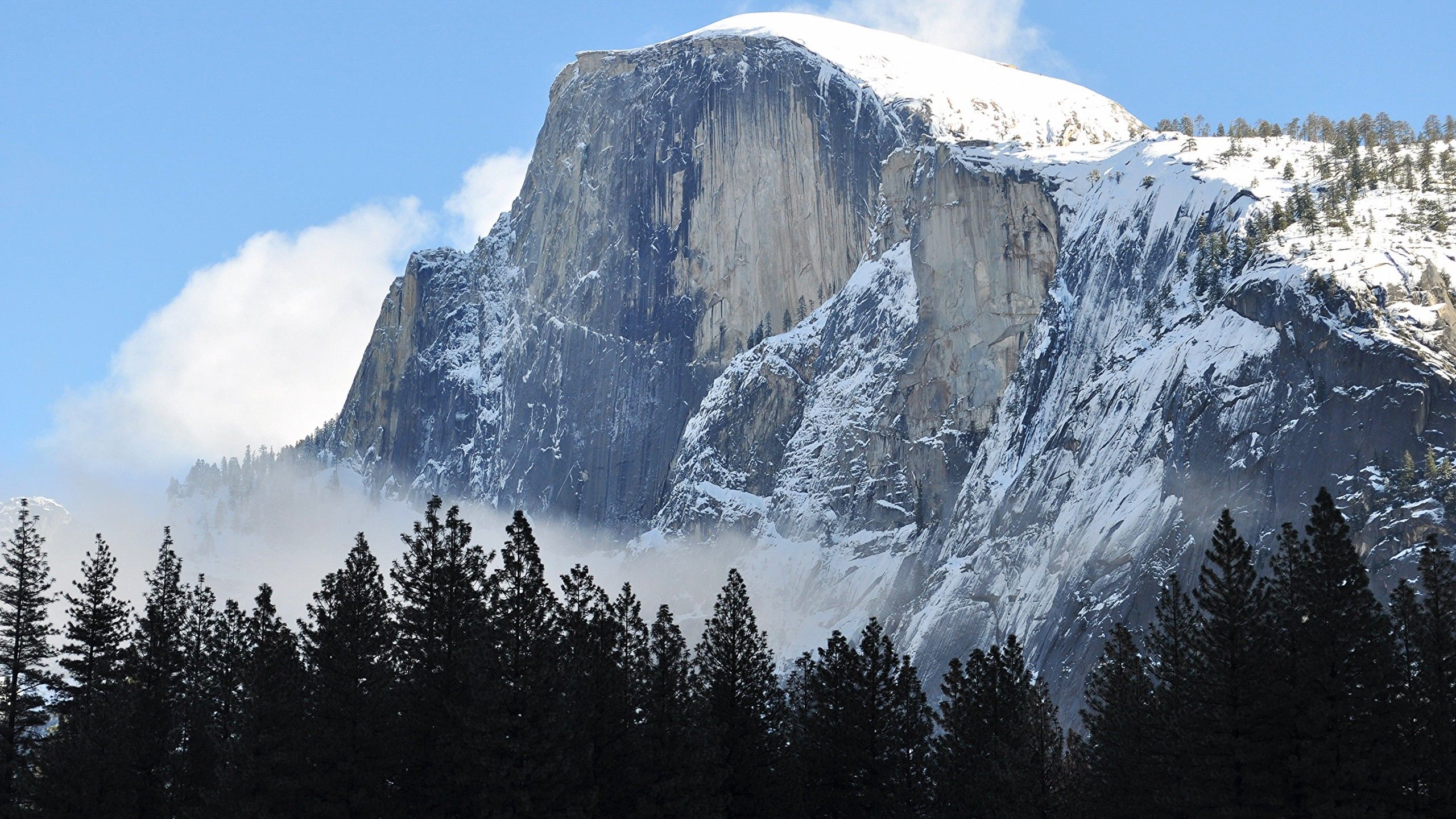 Wallpaper Half Dome, mountain, Yosemite, National Park, California, forest, 4k, Nature