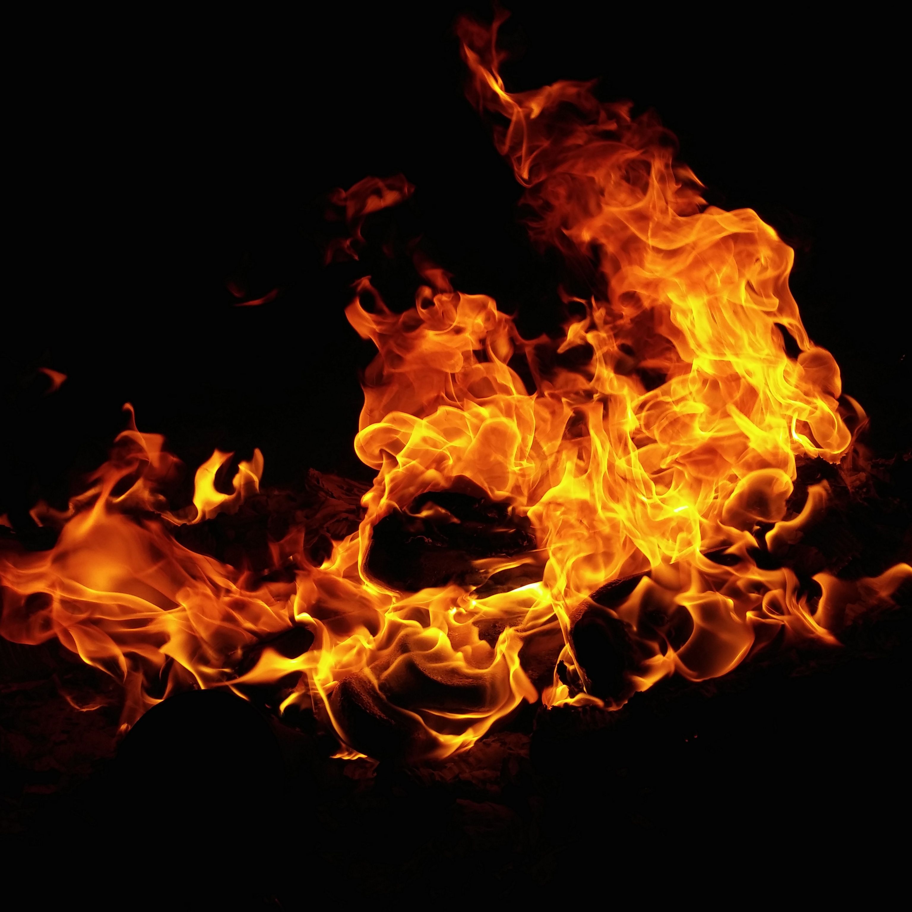 Photograph of a Burning Fire · Free