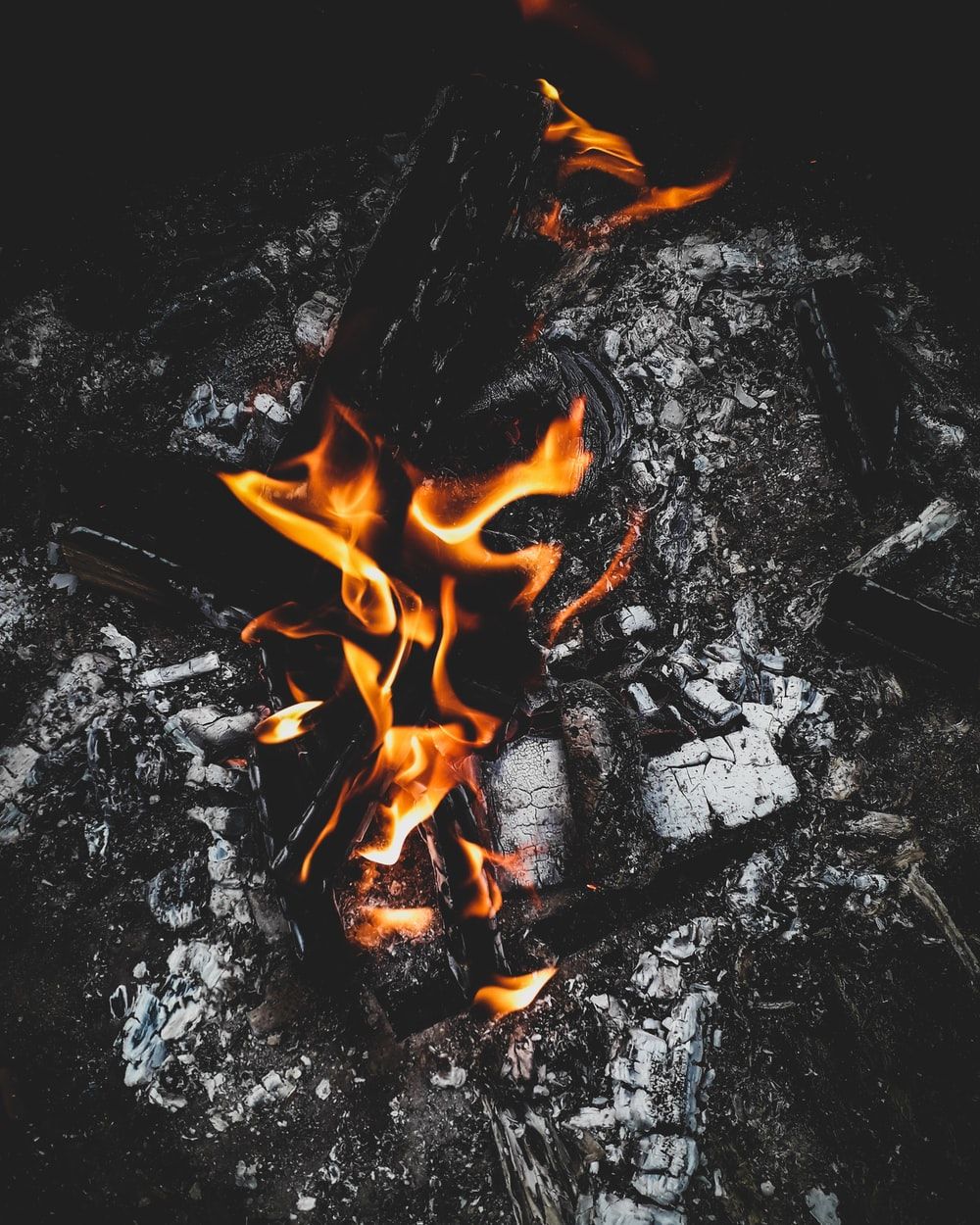 Burning Wood Picture. Download Free Image