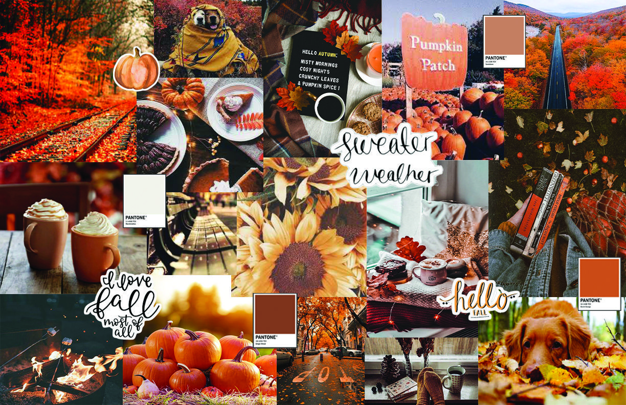 Fall Backgrounds Aesthetic Collage