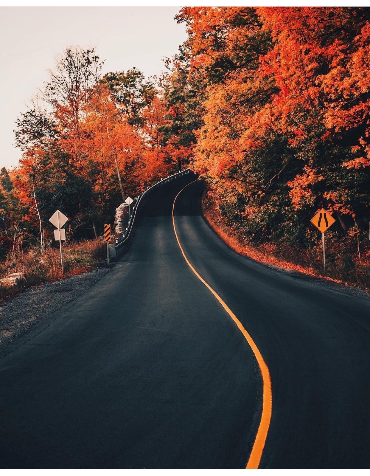 Fall Aesthetic Wallpaper / iPhone HD Wallpaper Background Download (png / jpg)