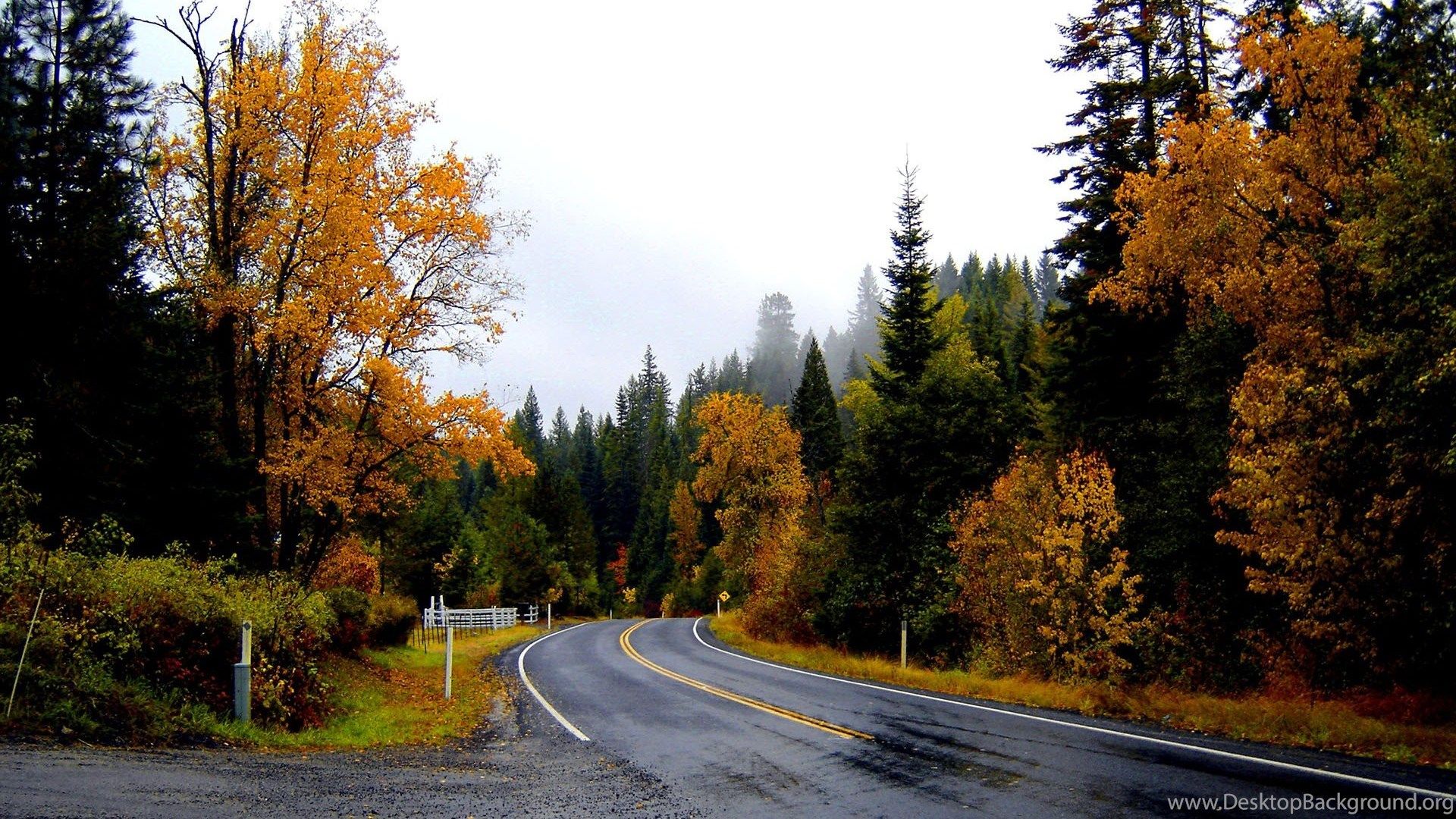Landscapes Nature Trees Forest Woods Autumn Fall Leaves Rain Wet. Desktop Background