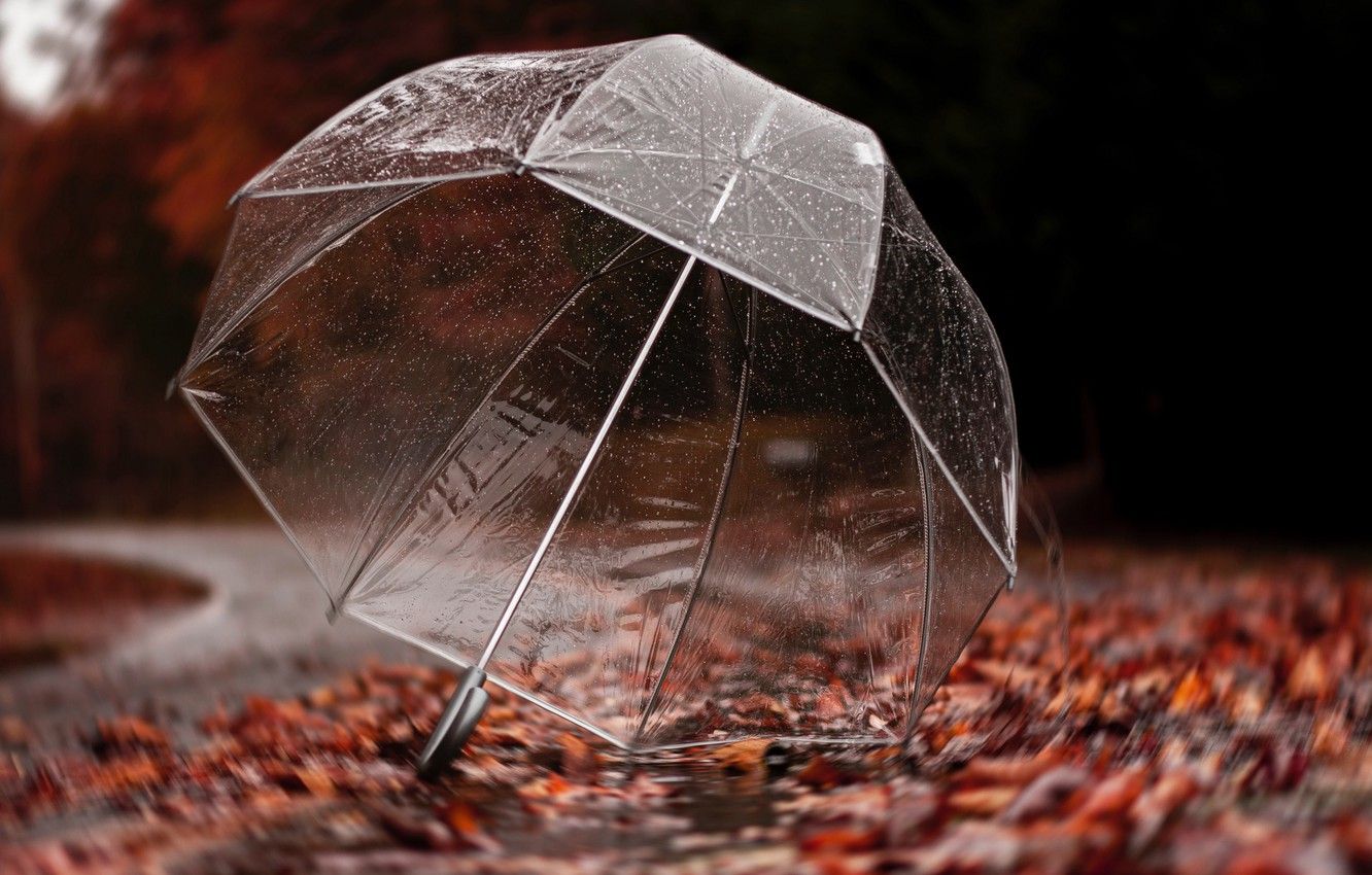 Wallpaper road, autumn, leaves, drops, trees, rain, umbrella image for desktop, section разное