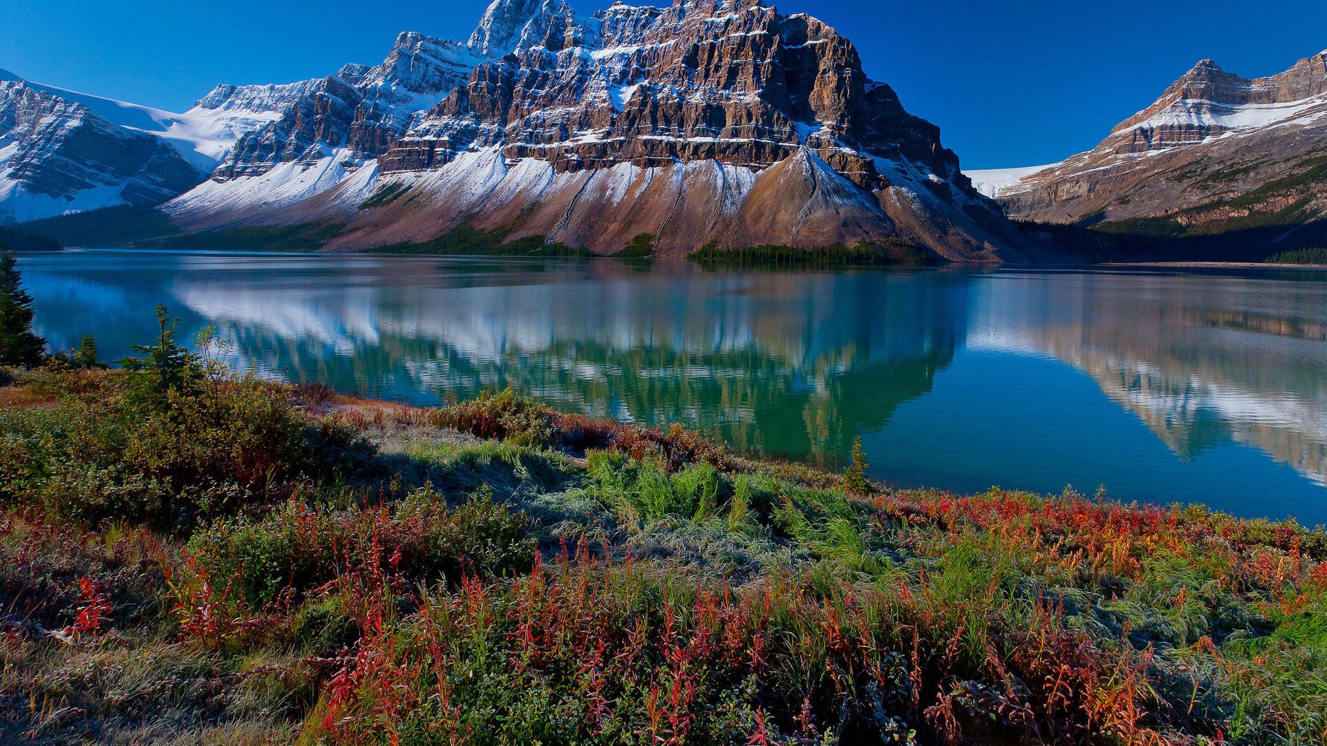 Free Download HD Background Wallpaper Wallpaper