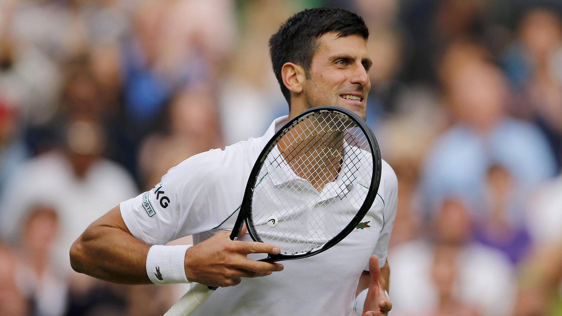 The final is certain Djokovic meets outsiders
