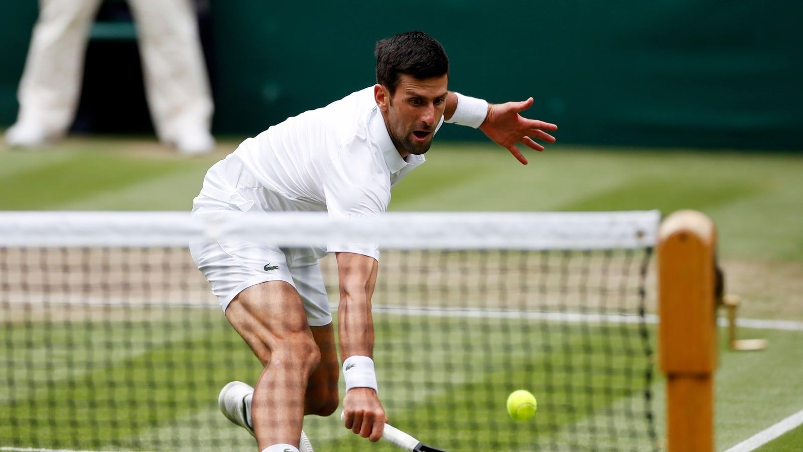 Exactly where I want to be': Novak Djokovic ahead of Wimbledon semifinal against Denis Shapovalov