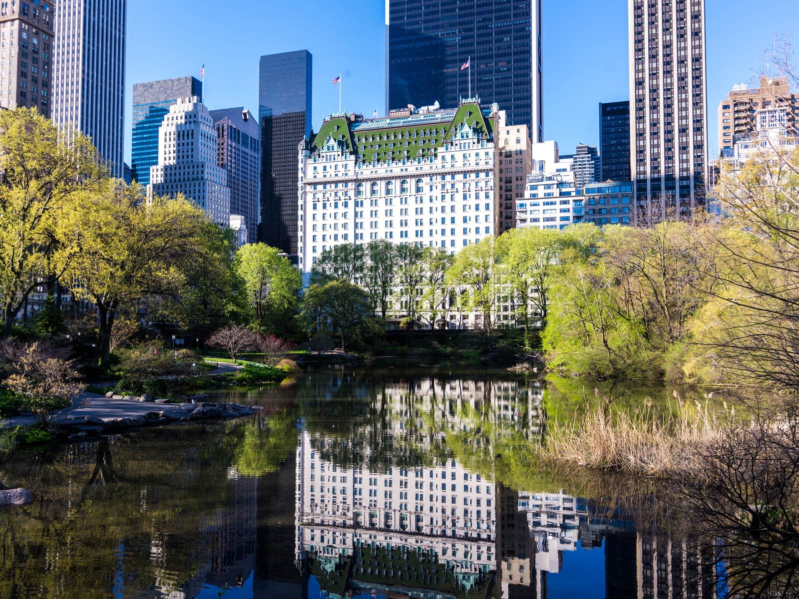 New York City's Most Historic Hotels Have Stories to Tell. Travel + Leisure