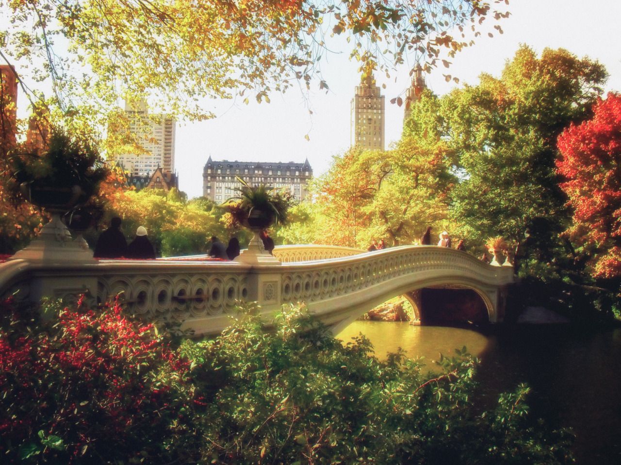 Central Park Bow Bridge: A Place of Romance in NYC. Rent a Bike to Visit the Bow Bridge in Central Park
