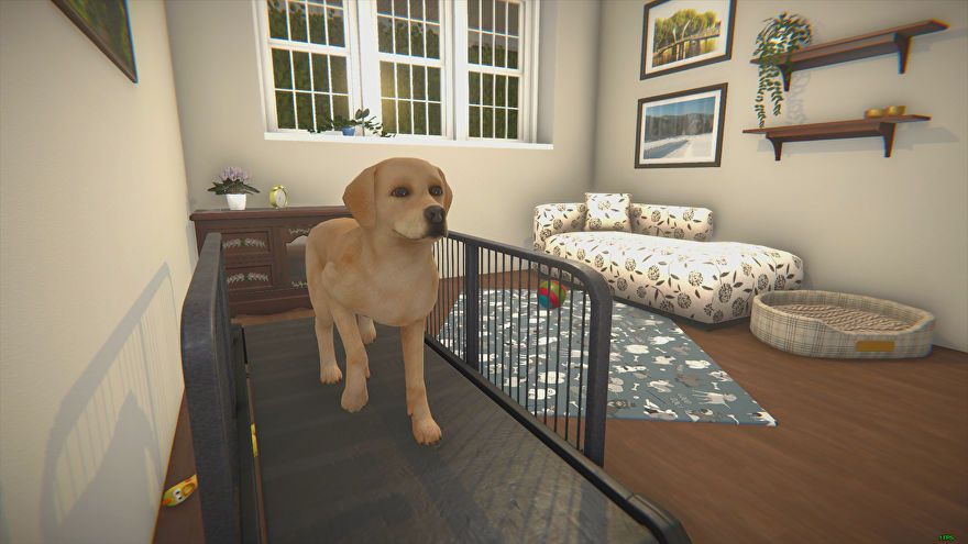 For some reason House Flipper is getting a pets DLC. Rock Paper Shotgun