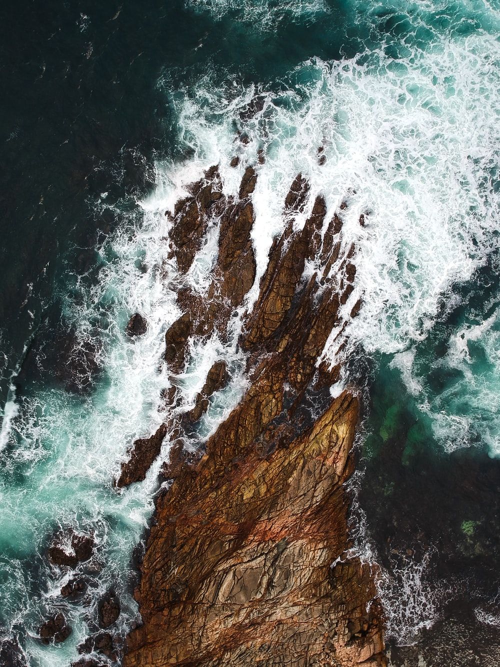 Wild Ocean Picture. Download Free Image