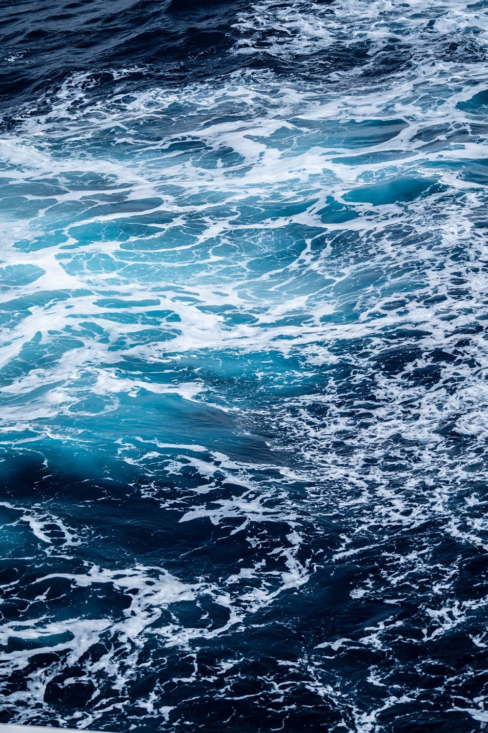 Wild Sea Picture. Download Free Image