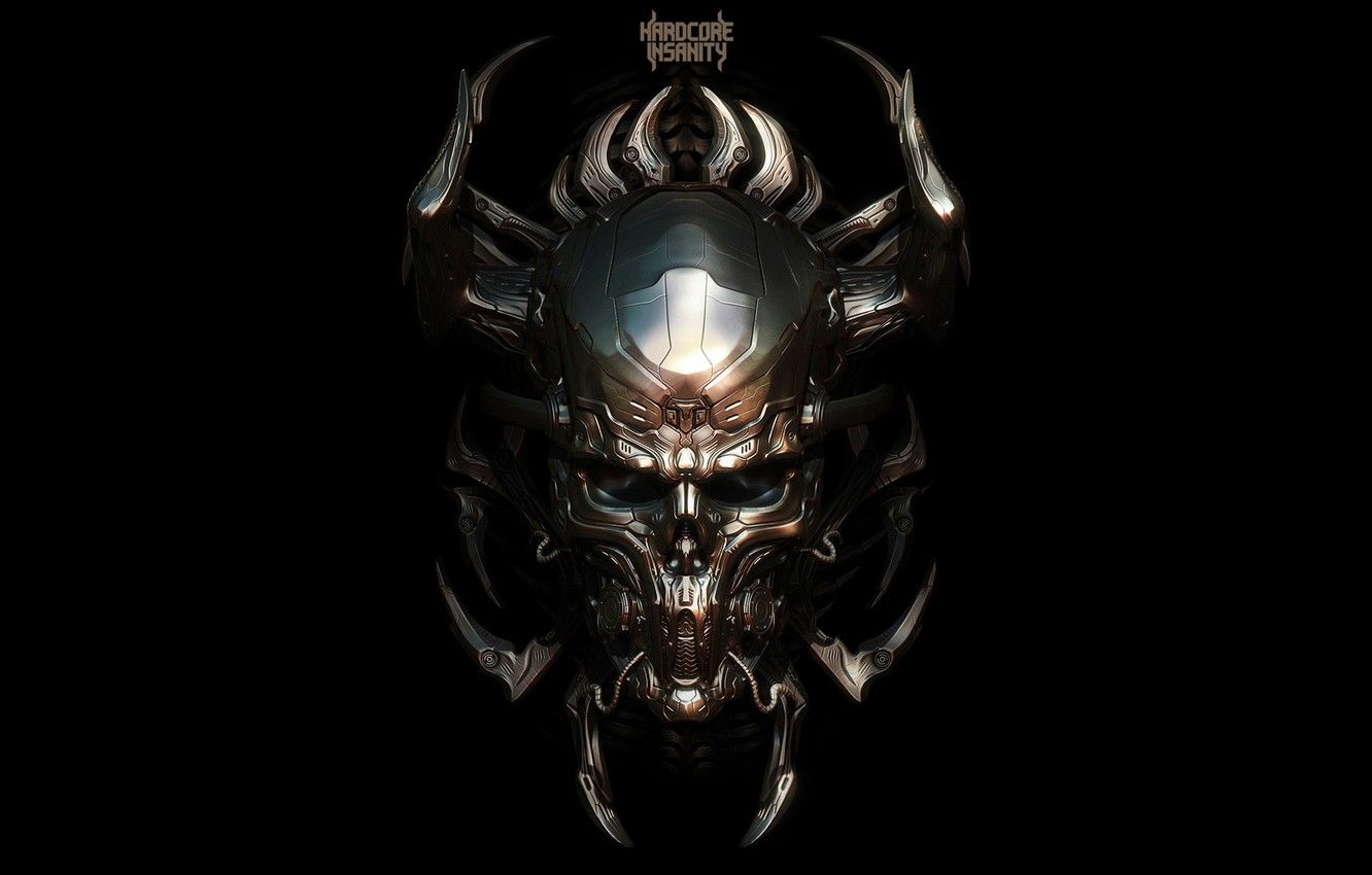 Wallpaper style, music, skull, horns, hardcore, metal, hardcore insanity image for desktop, section музыка