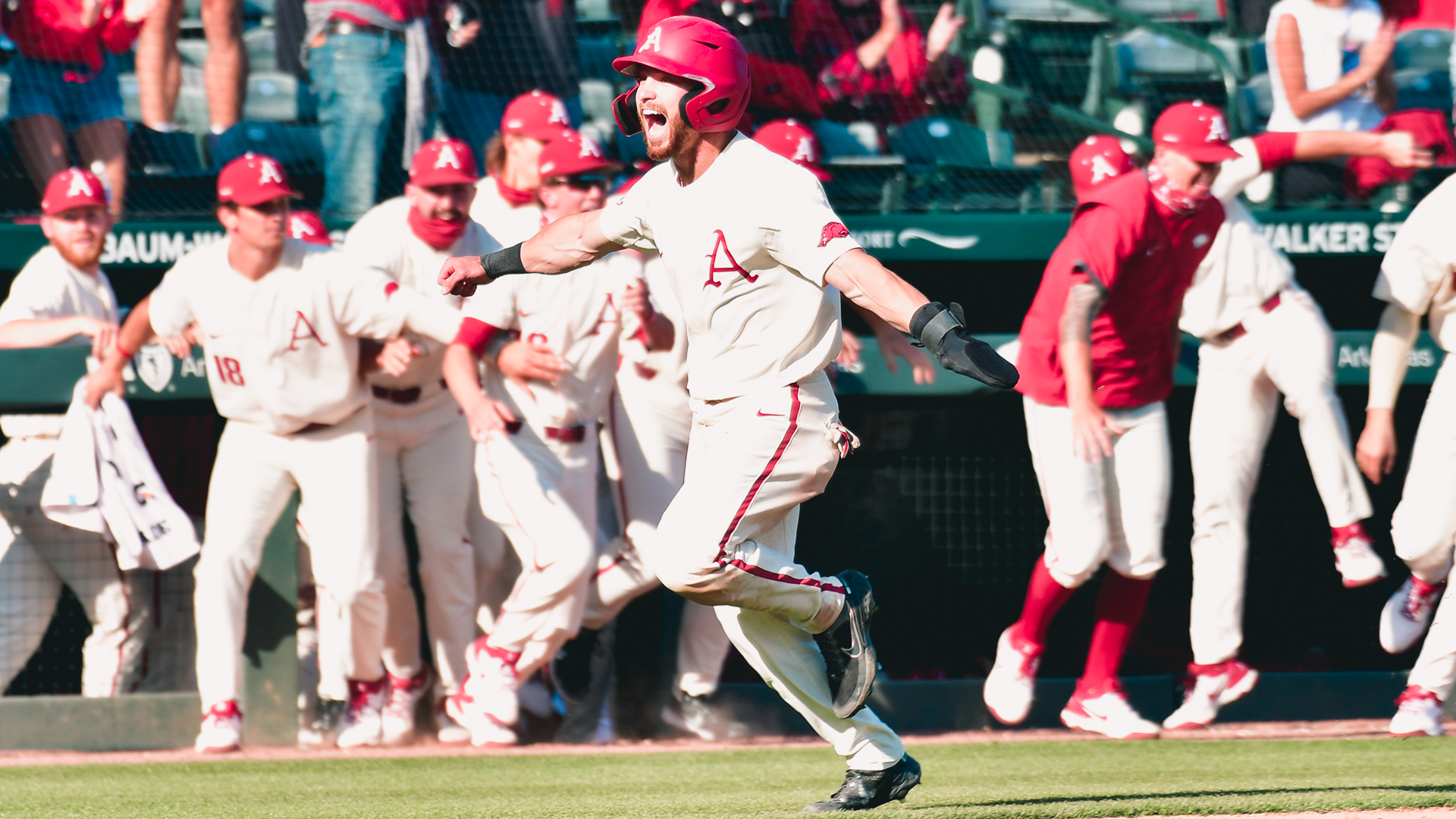 Razorback Report: Week 7